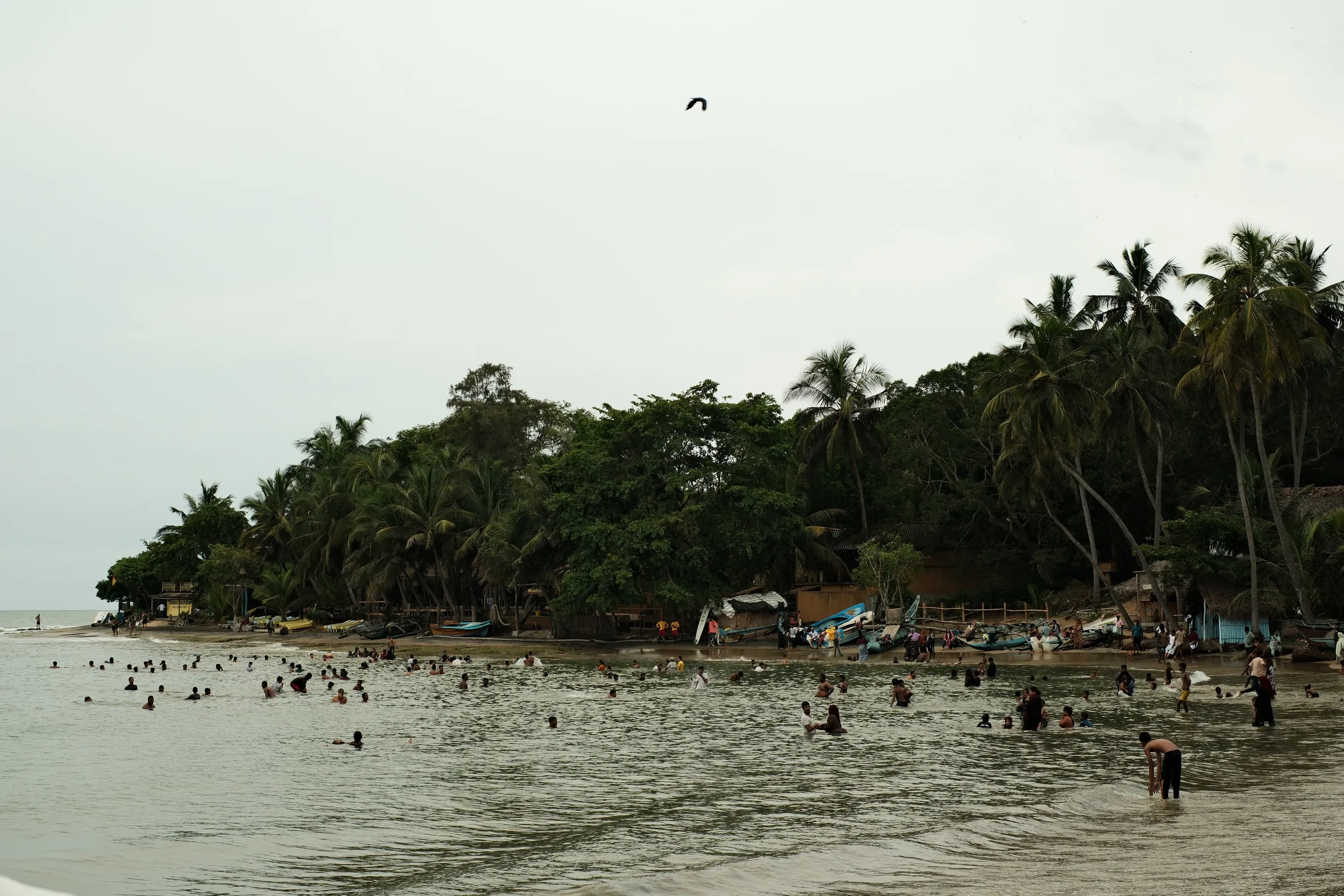 sri-lanka-2025, frame 53