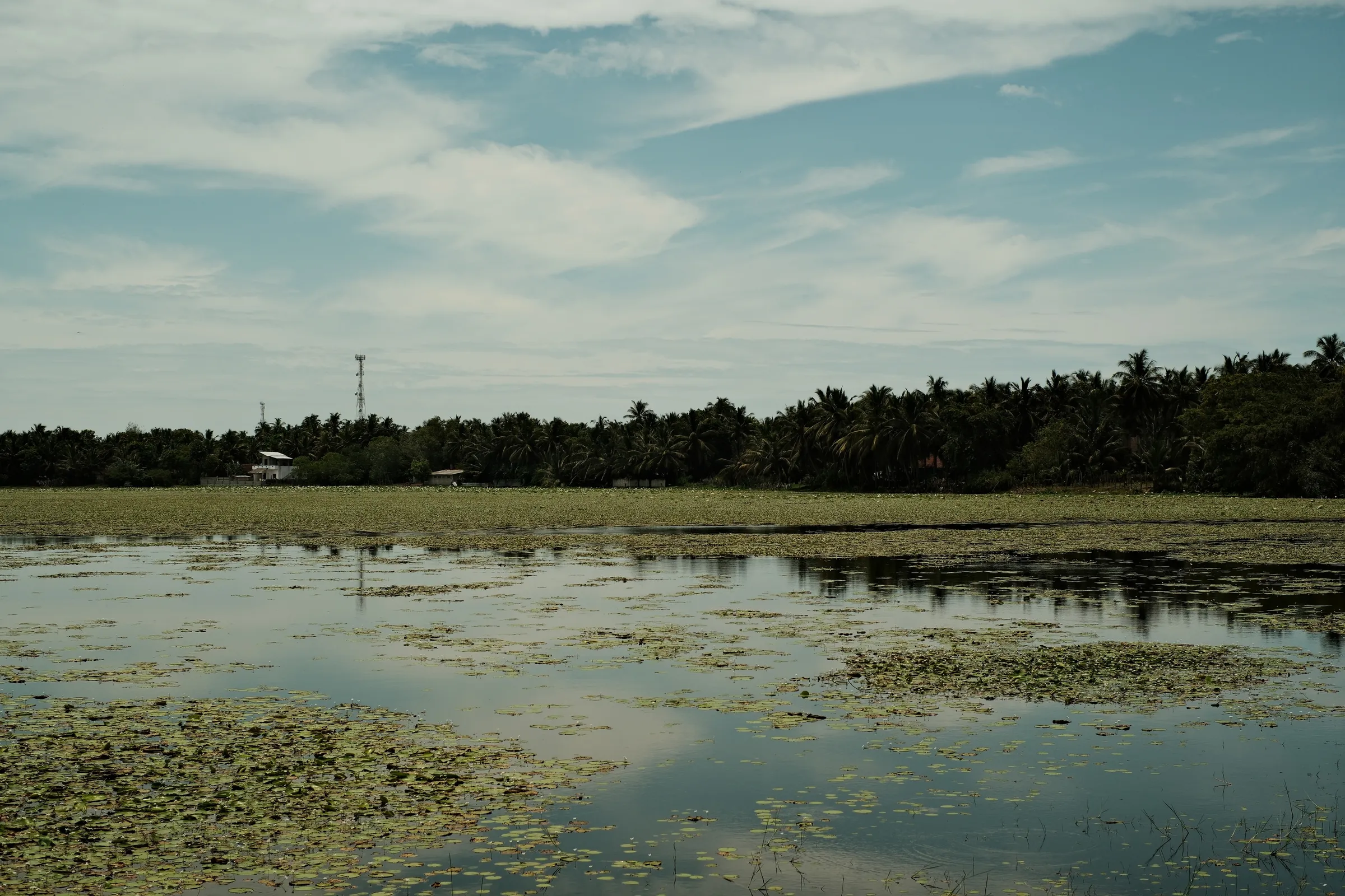 sri-lanka-2025, frame 83