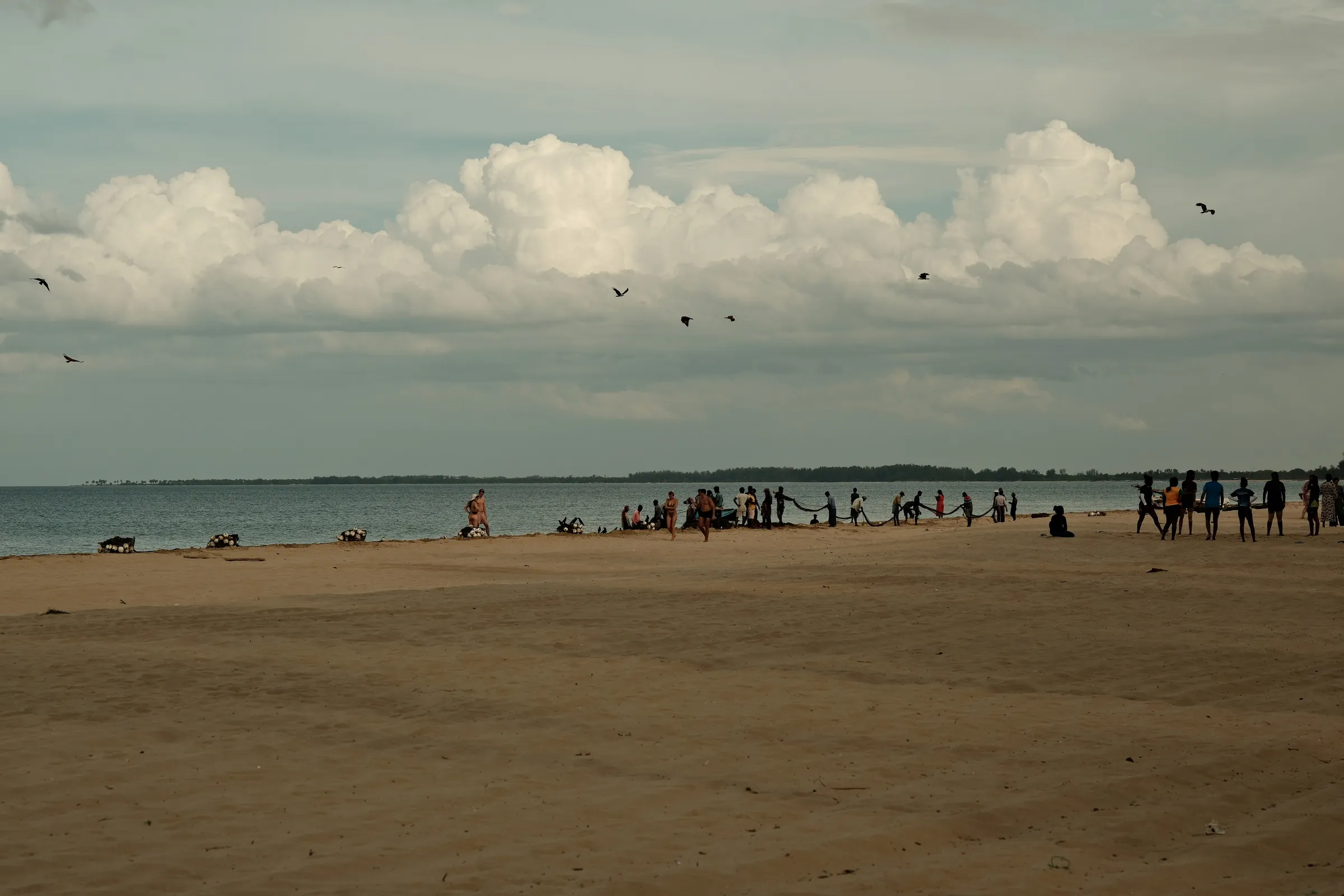 sri-lanka-2025, frame 56