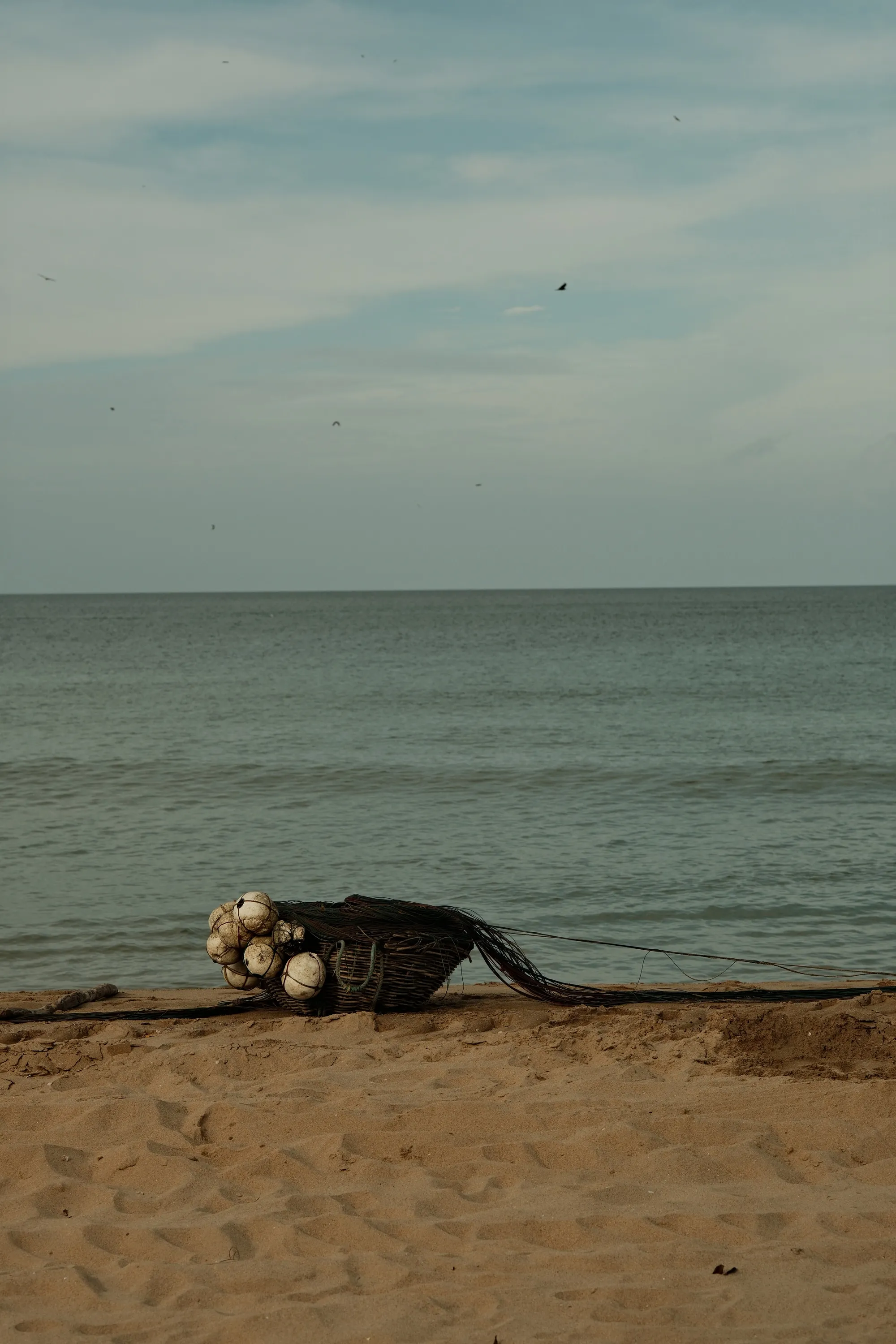 sri-lanka-2025, frame 55