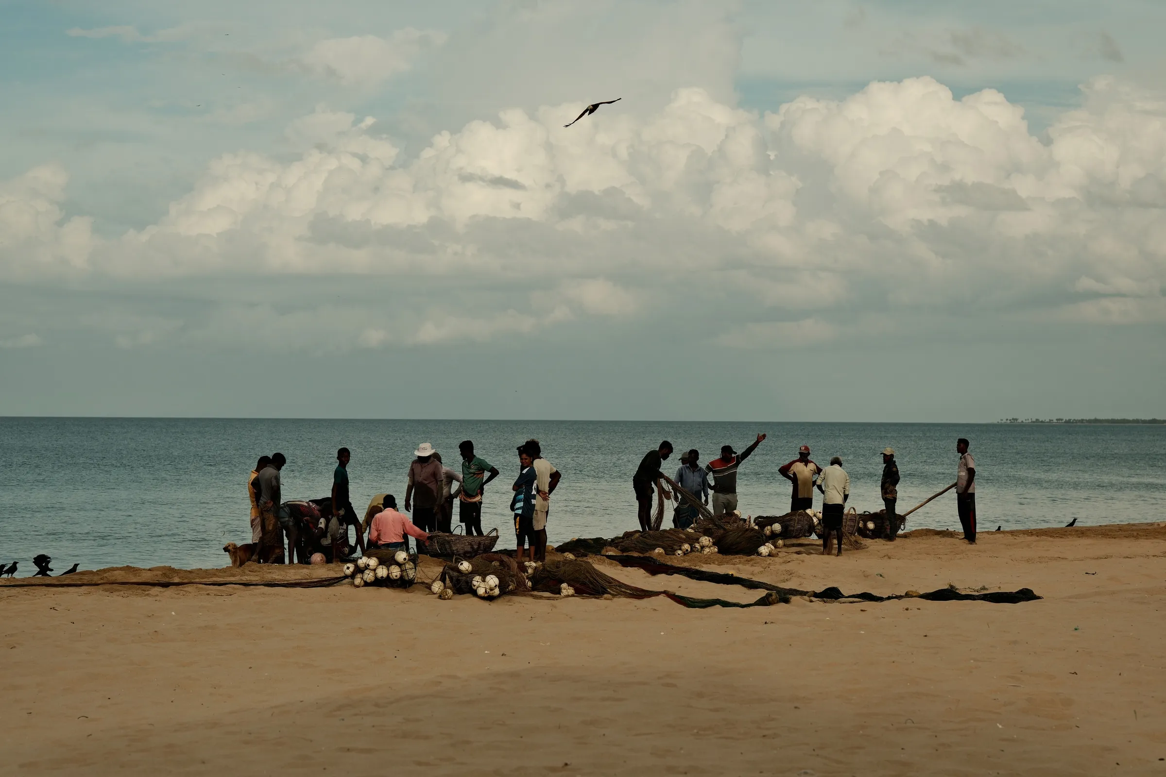 sri-lanka-2025, frame 58