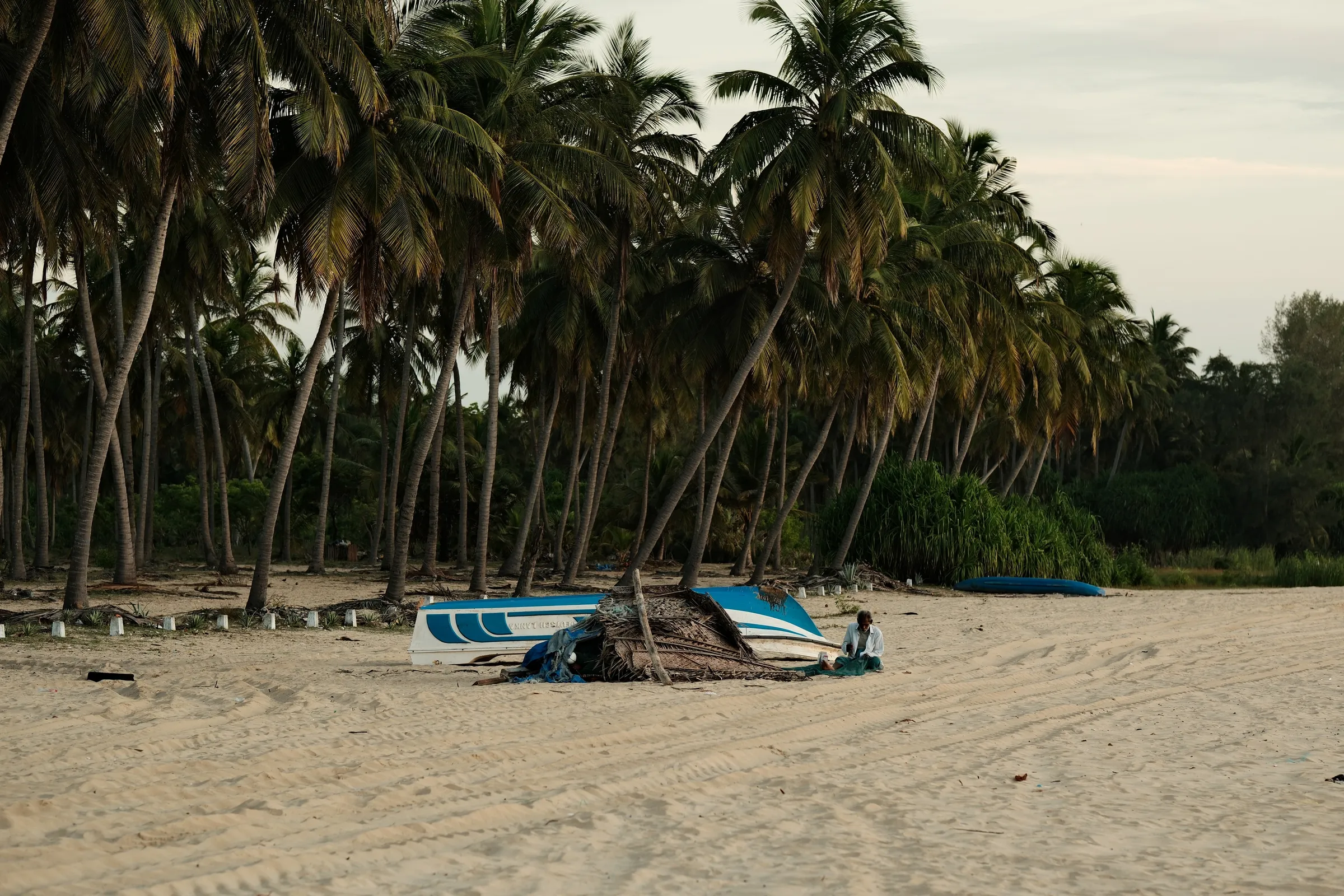 sri-lanka-2025, frame 60