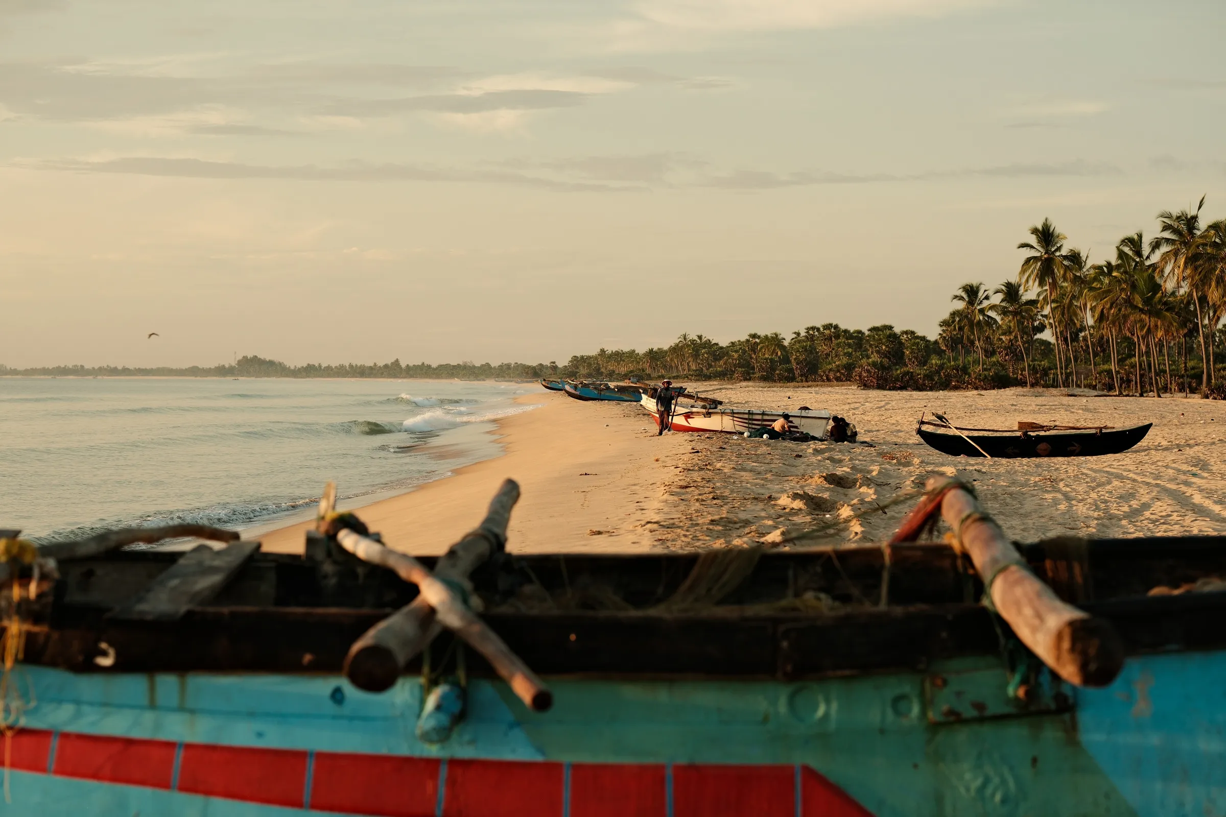 sri-lanka-2025, frame 66