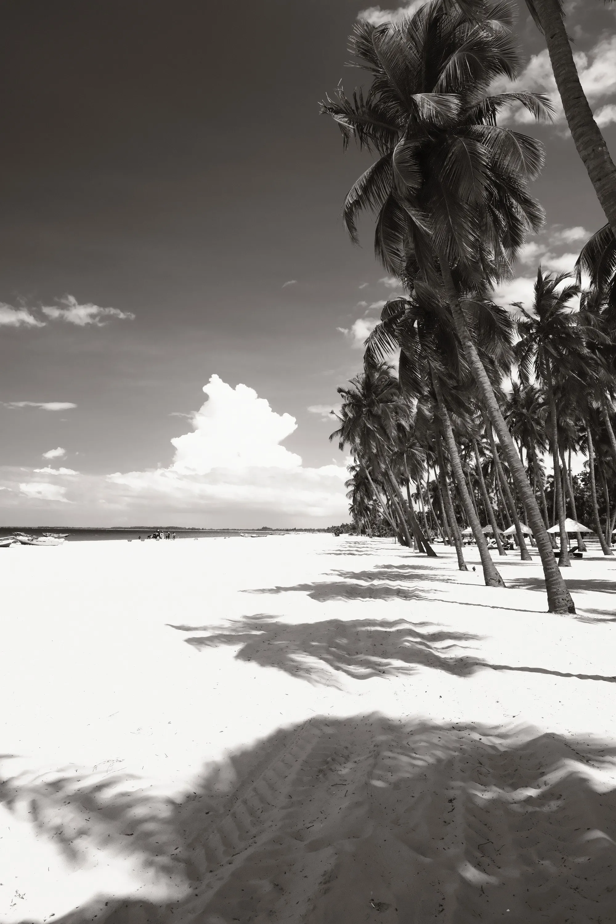 sri-lanka-2025, frame 67