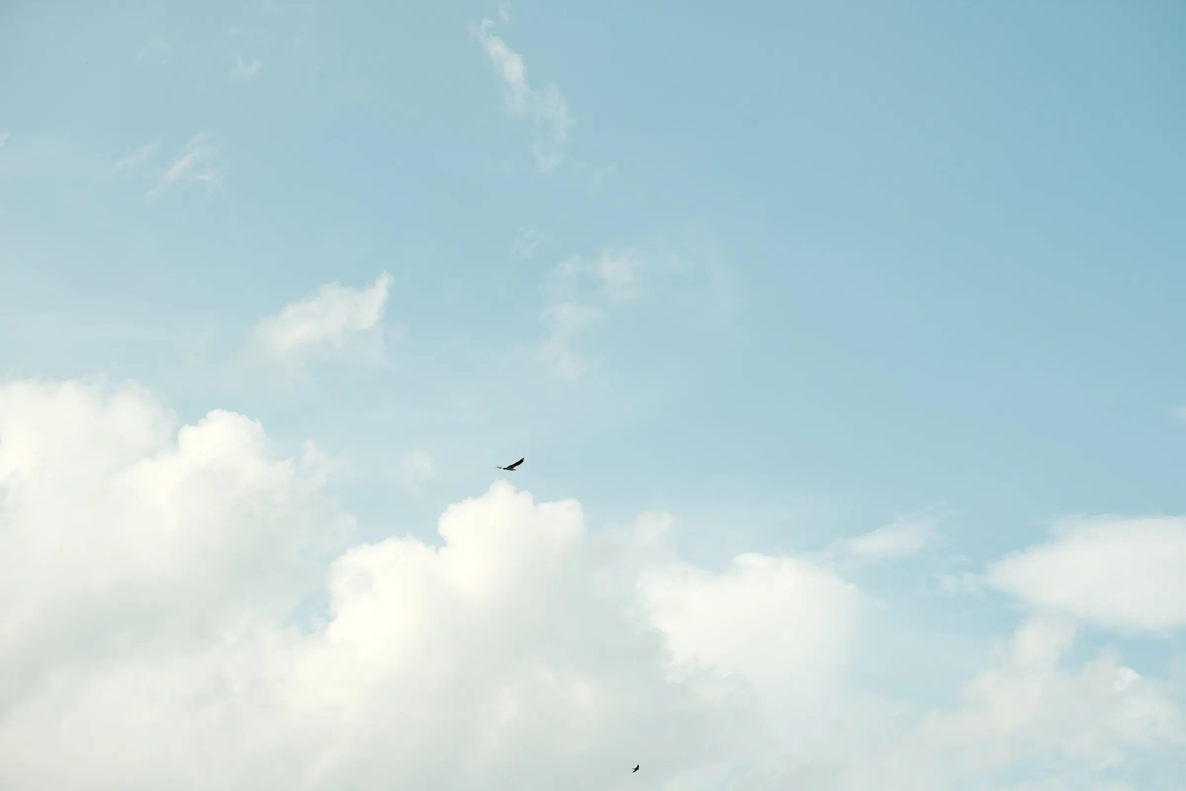 sri-lanka-2025, frame 133