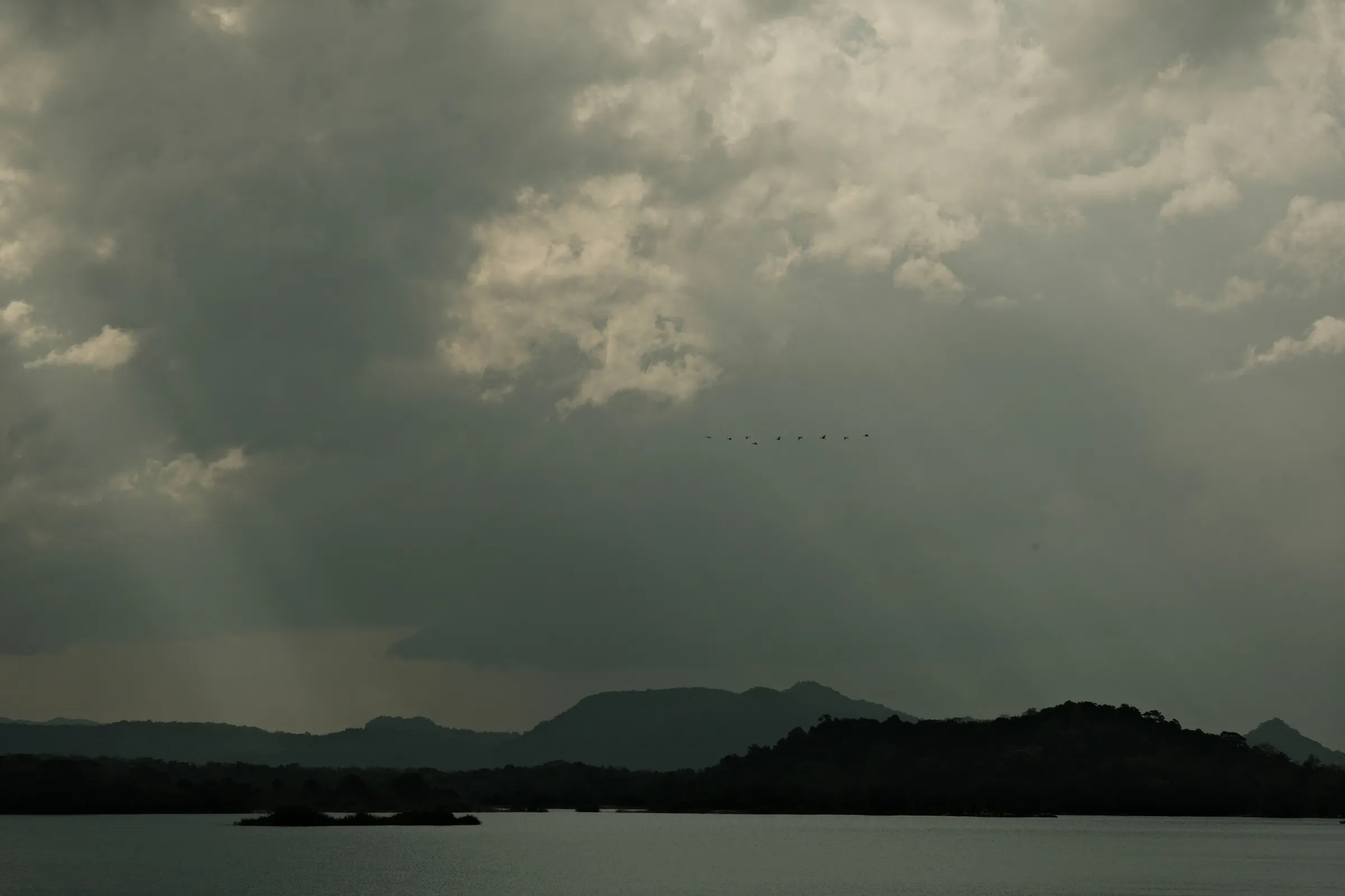 sri-lanka-2025, frame 85