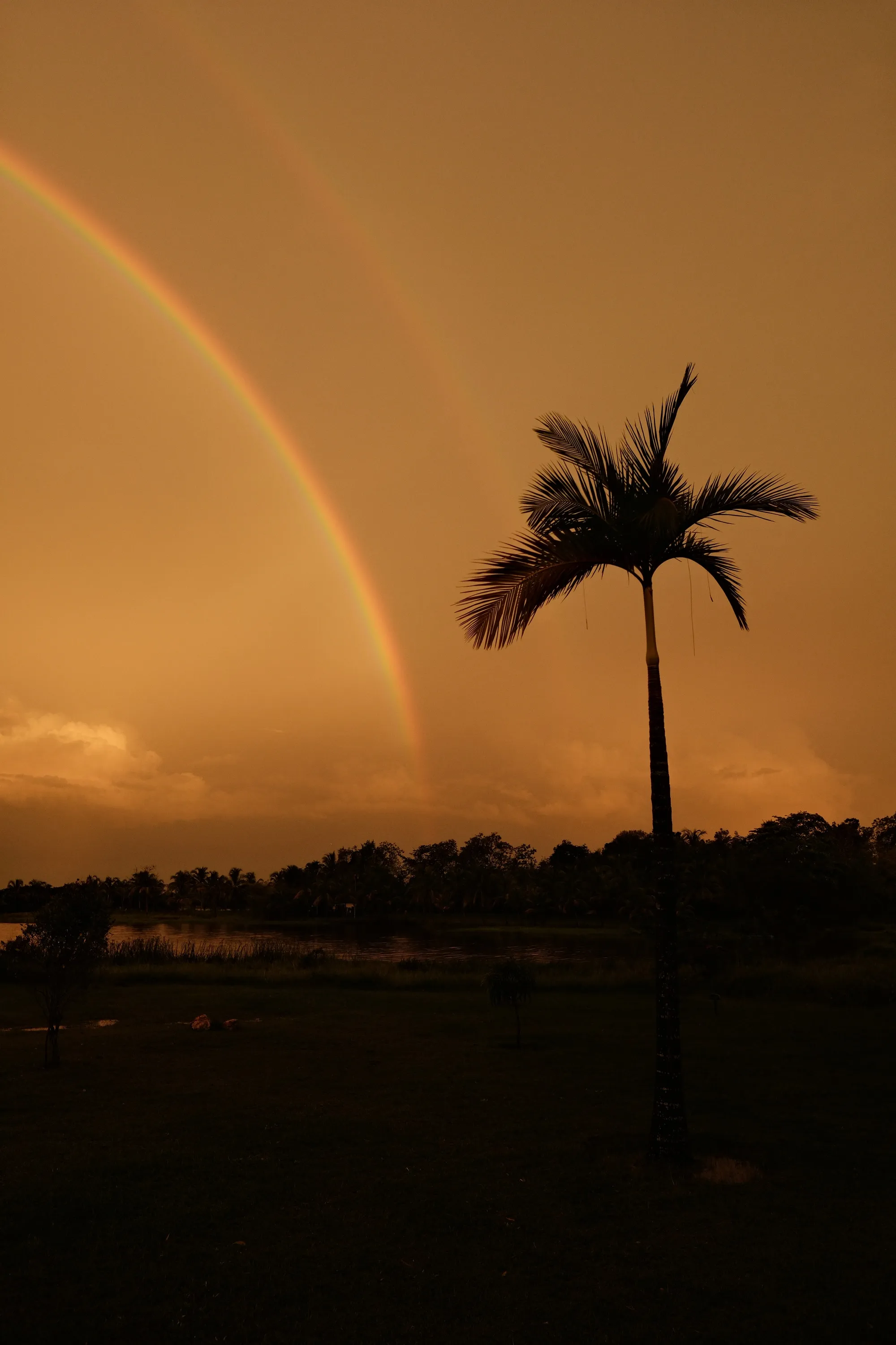 sri-lanka-2025, frame 88