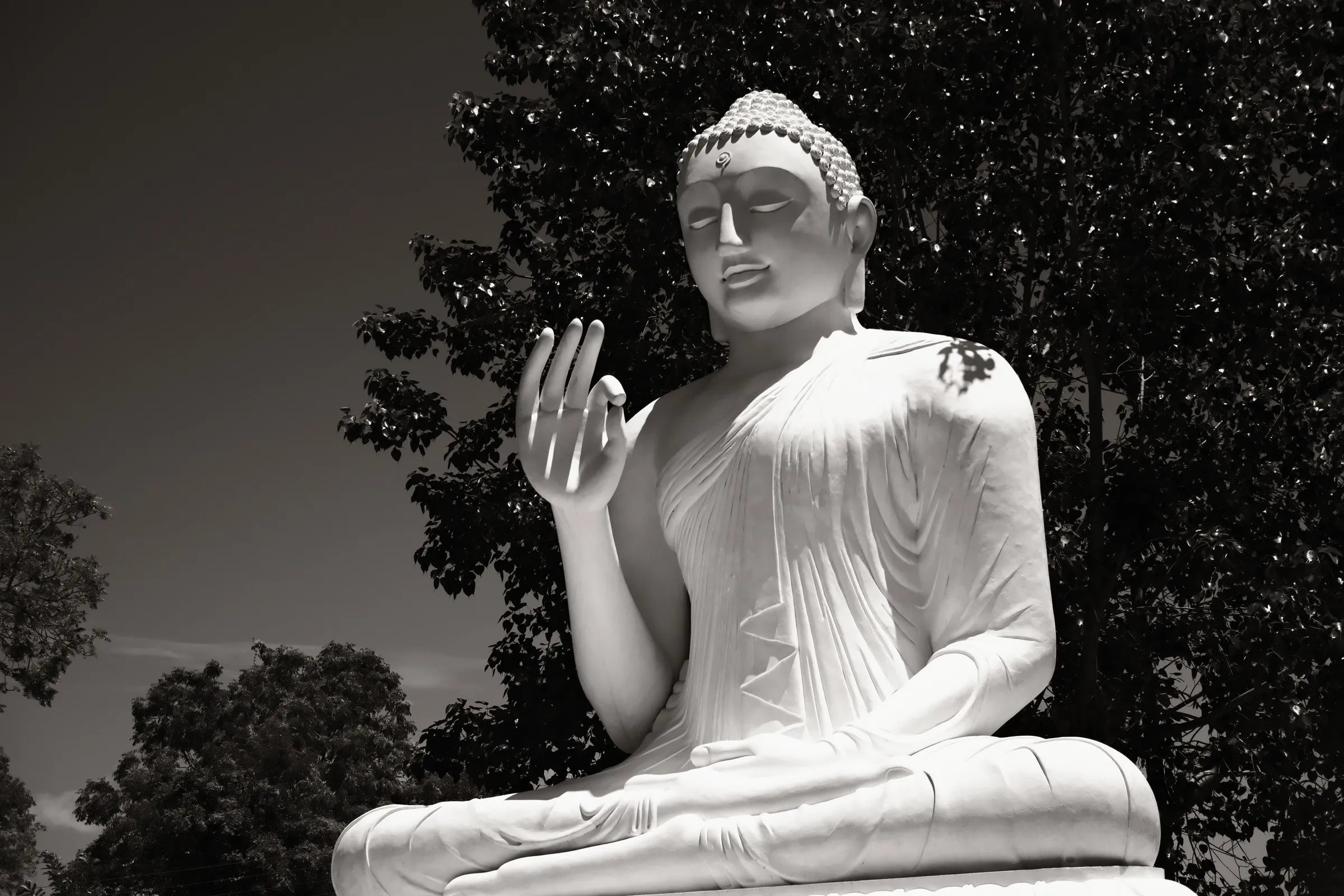 sri-lanka-2025, frame 108