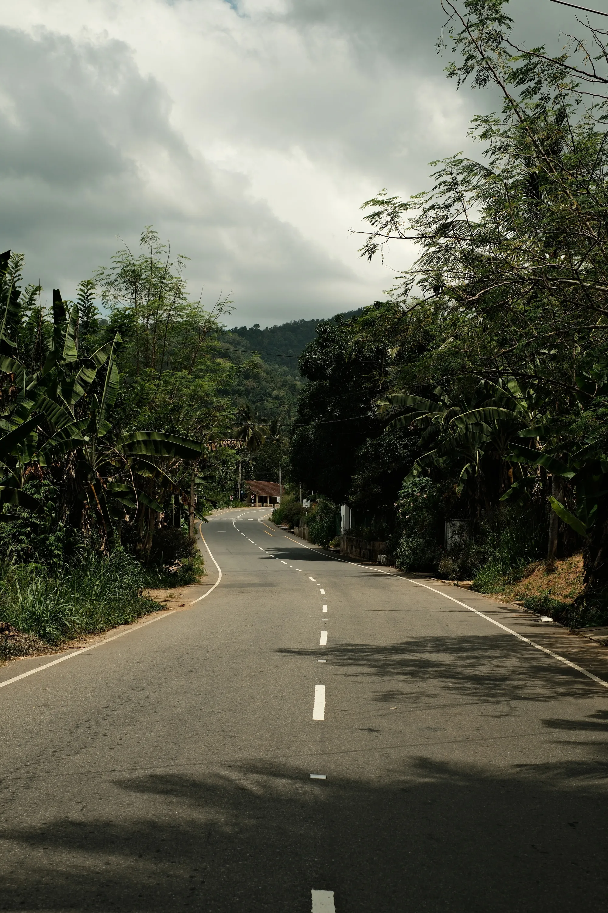 sri-lanka-2025, frame 22