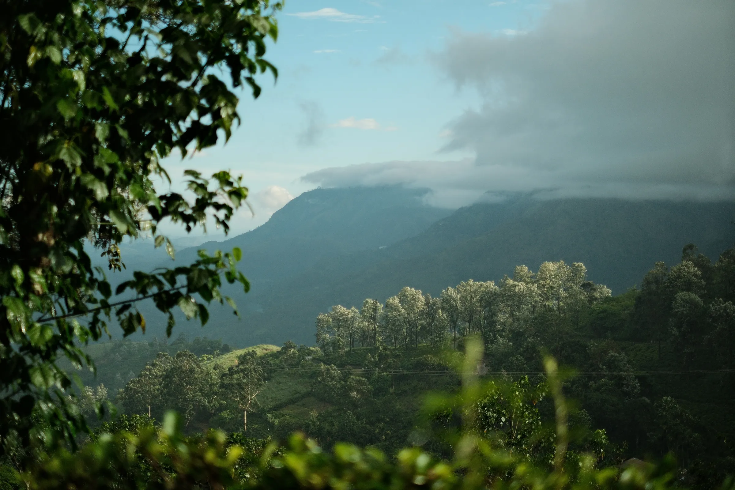 sri-lanka-2025, frame 94