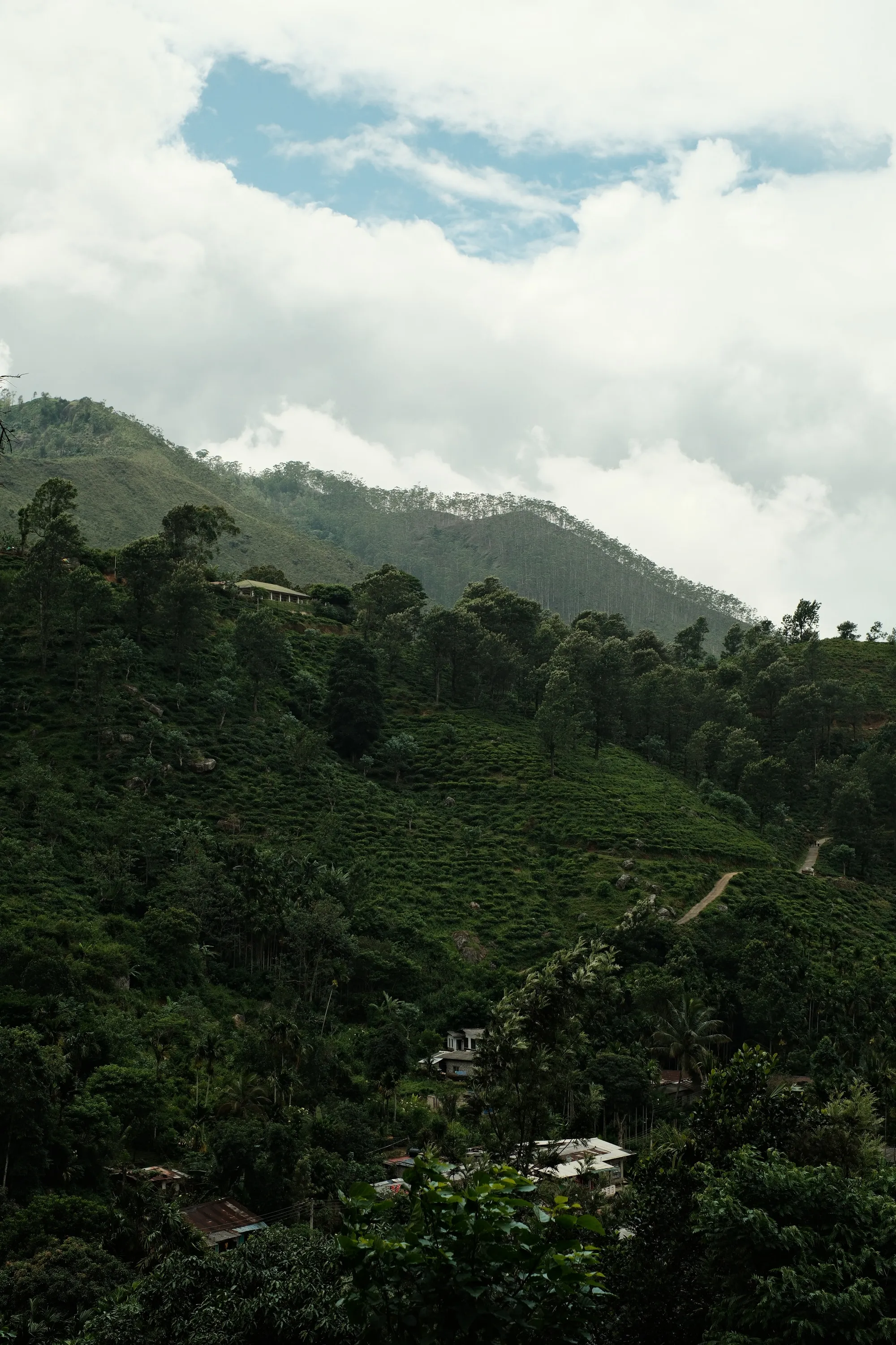 sri-lanka-2025, frame 97