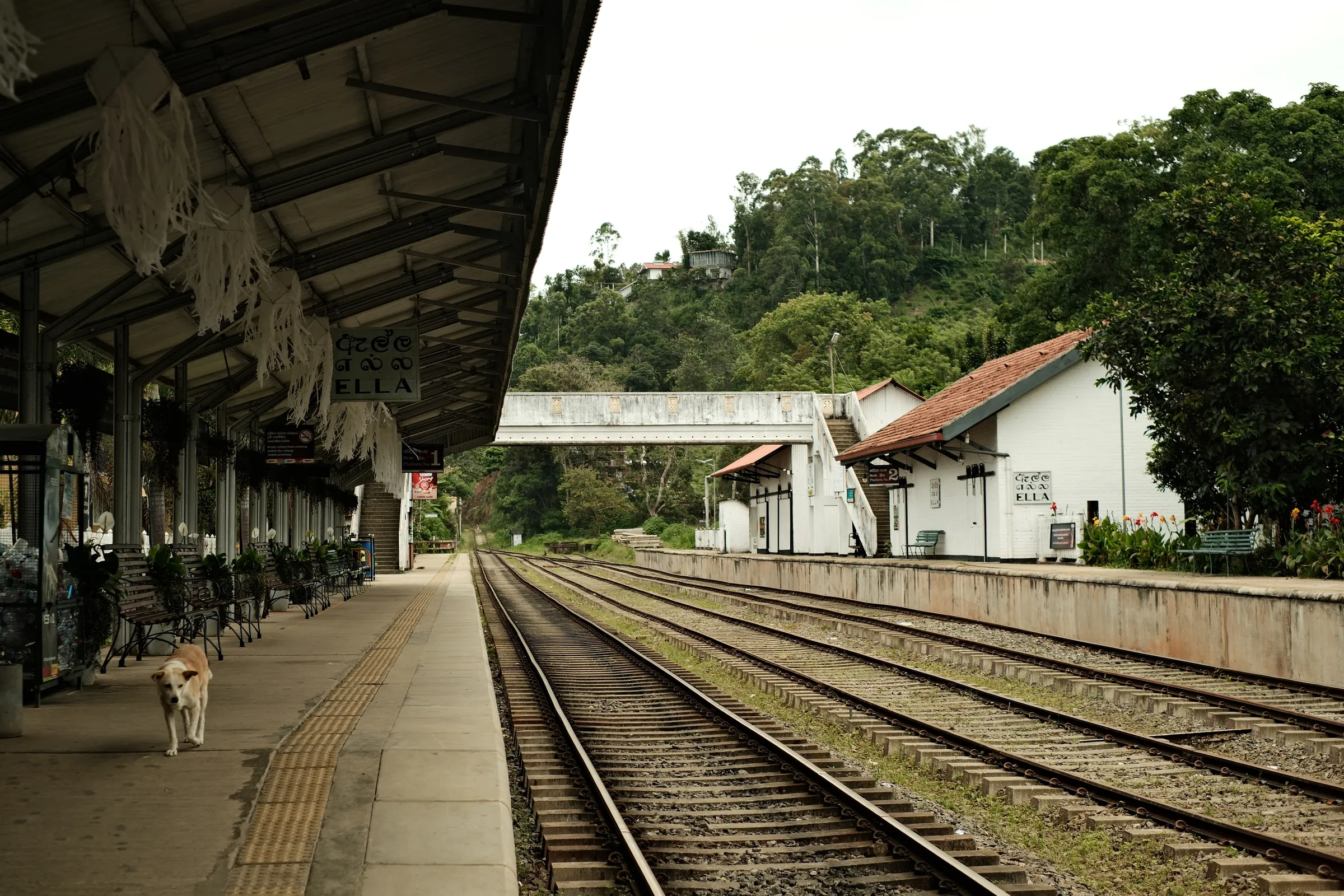sri-lanka-2025, frame 25