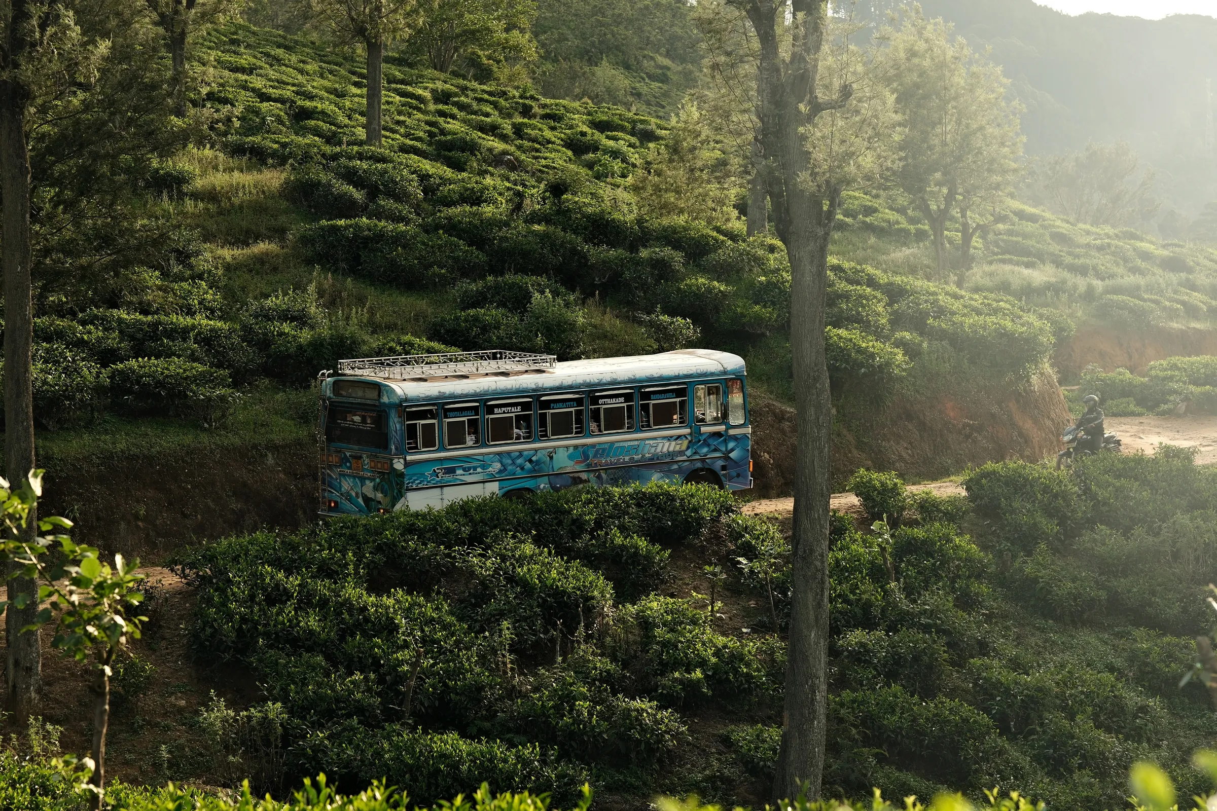 sri-lanka-2025, frame 28