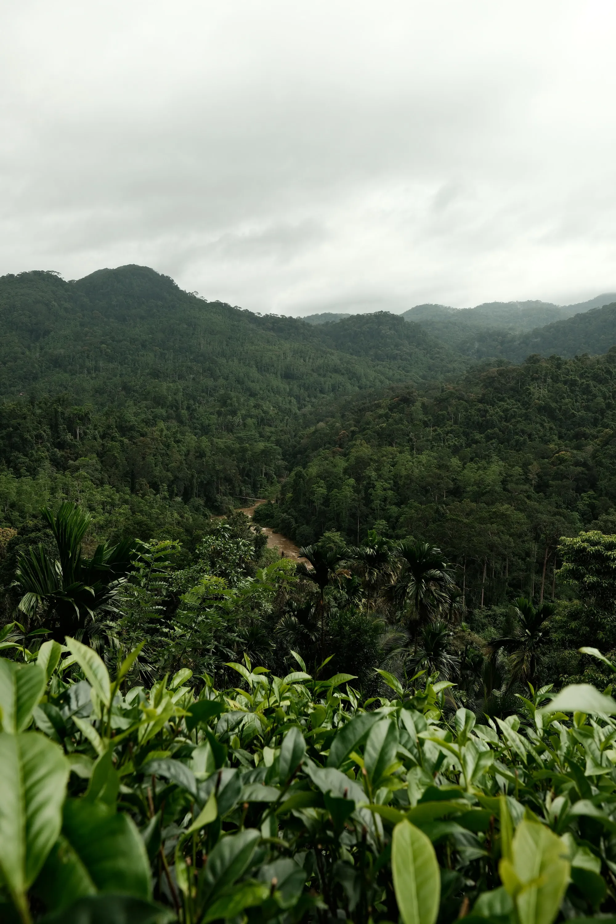 sri-lanka-2025, frame 101