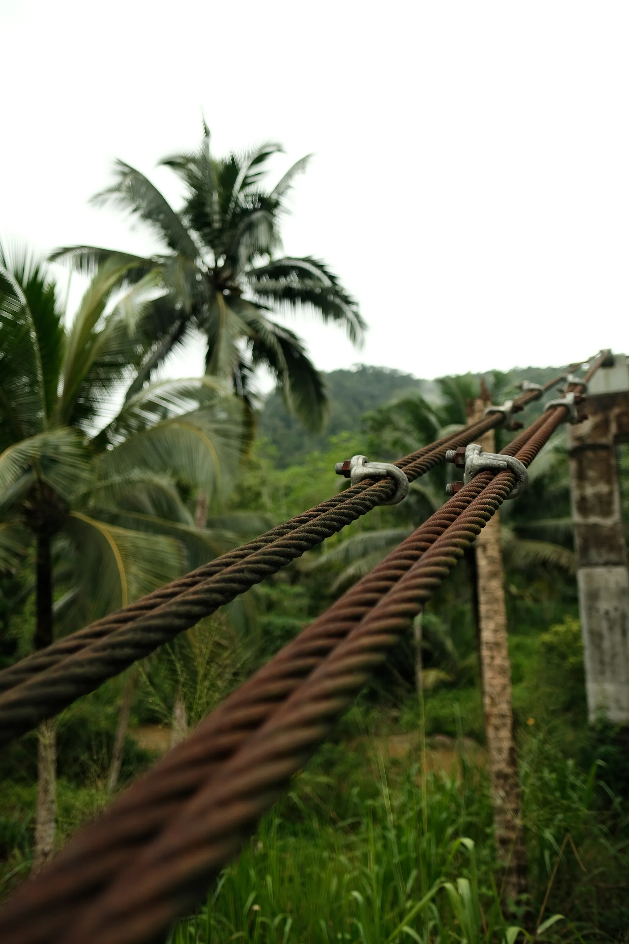 sri-lanka-2025, frame 35