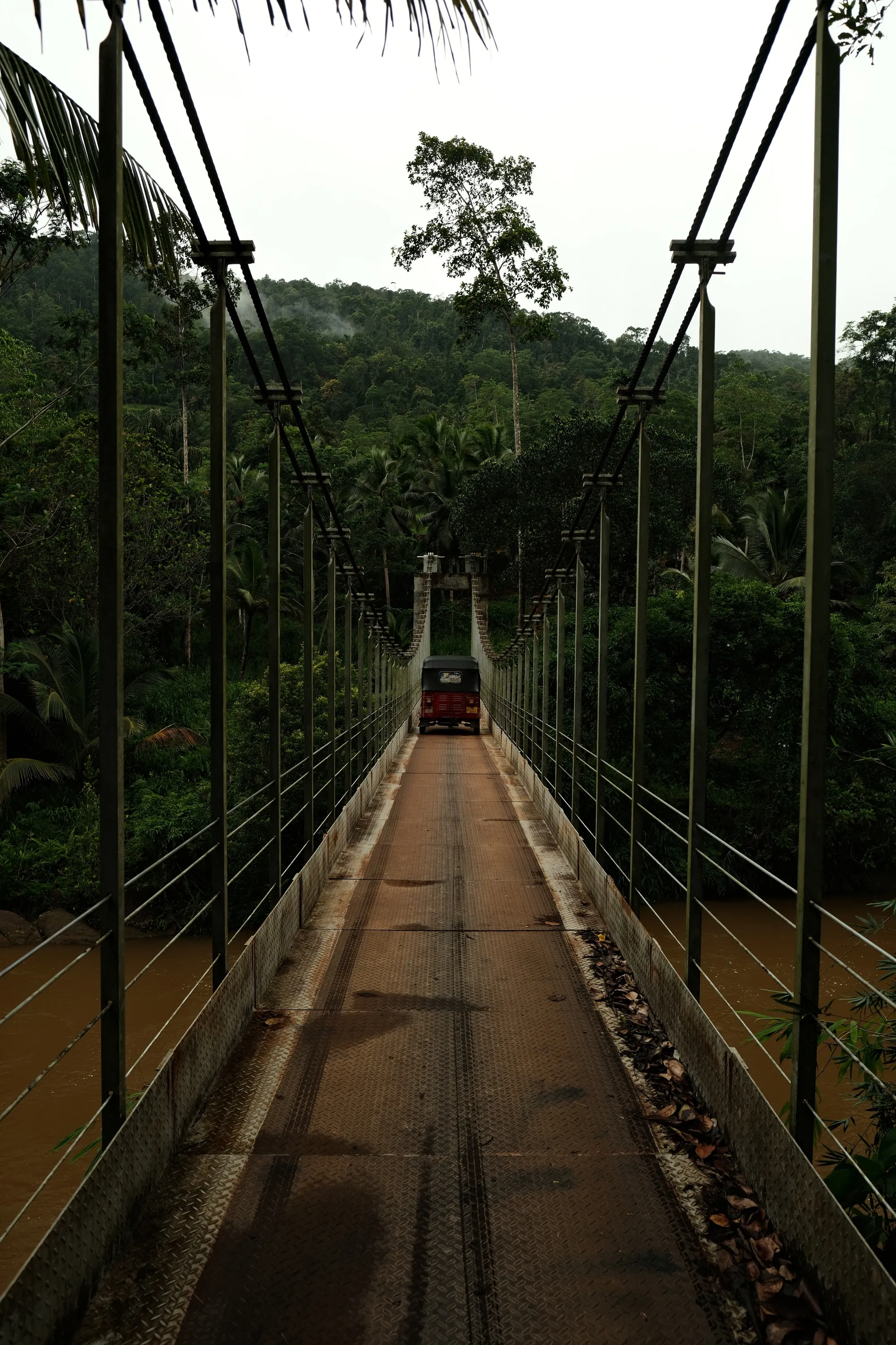 sri-lanka-2025, frame 36