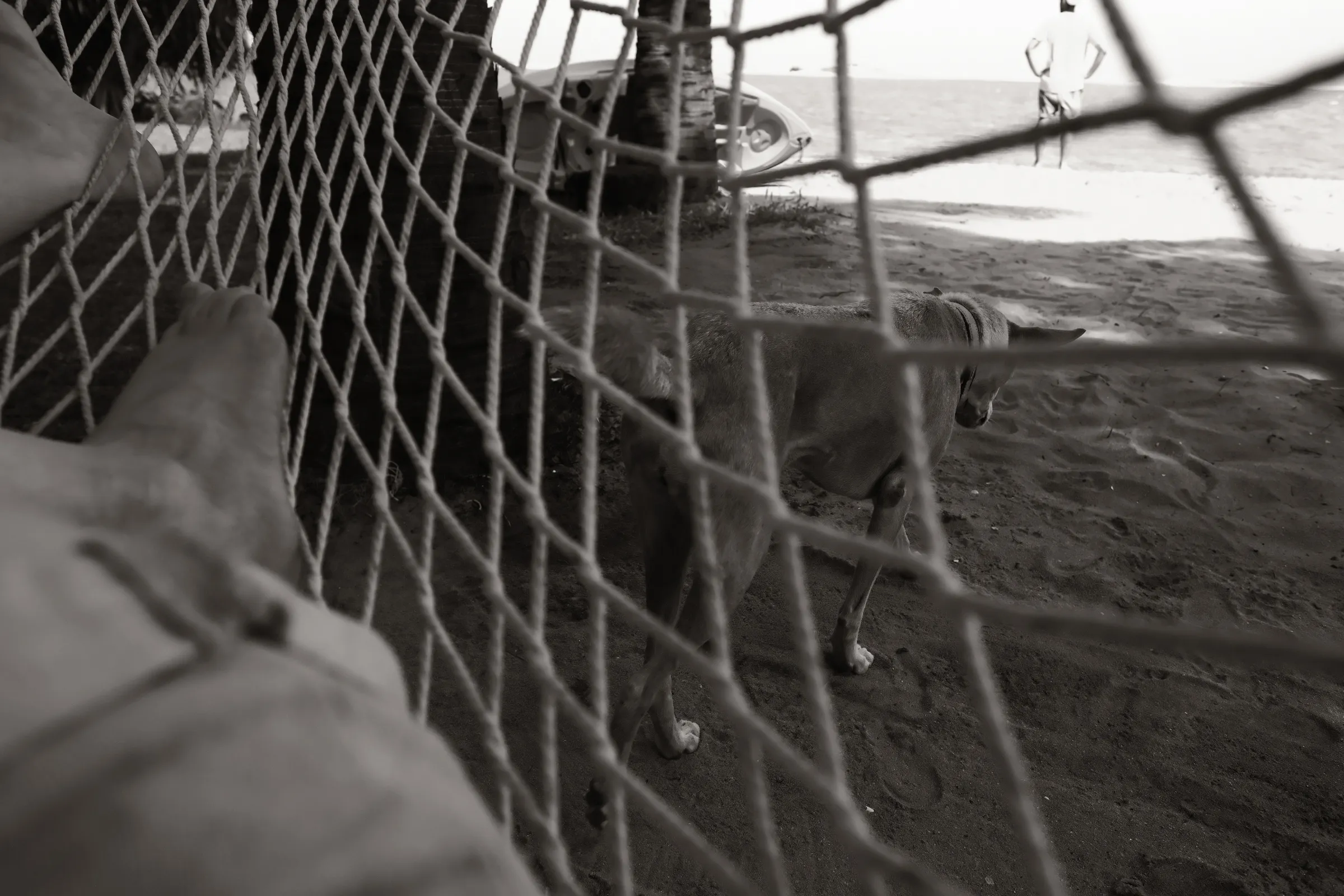 sri-lanka-2025, frame 74