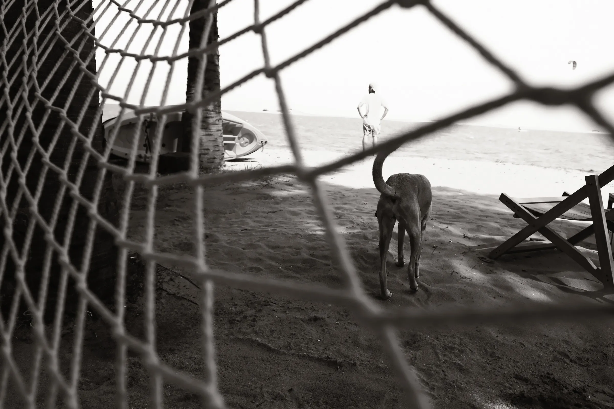 sri-lanka-2025, frame 75