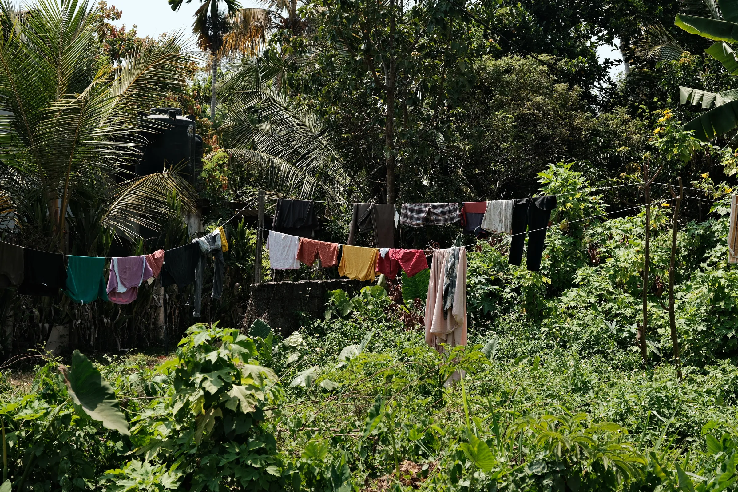 sri-lanka-2026, frame 2