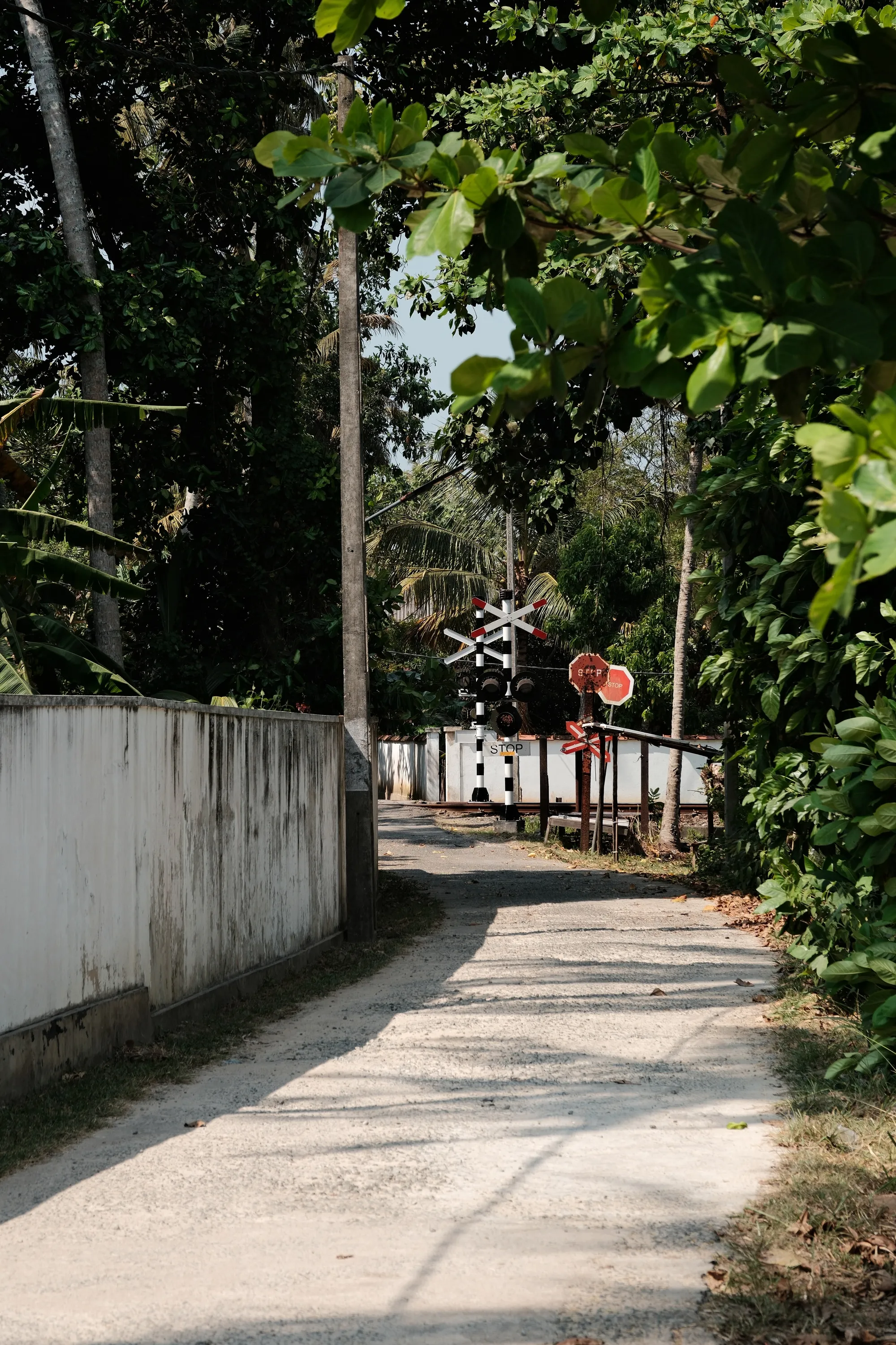 sri-lanka-2026, frame 4