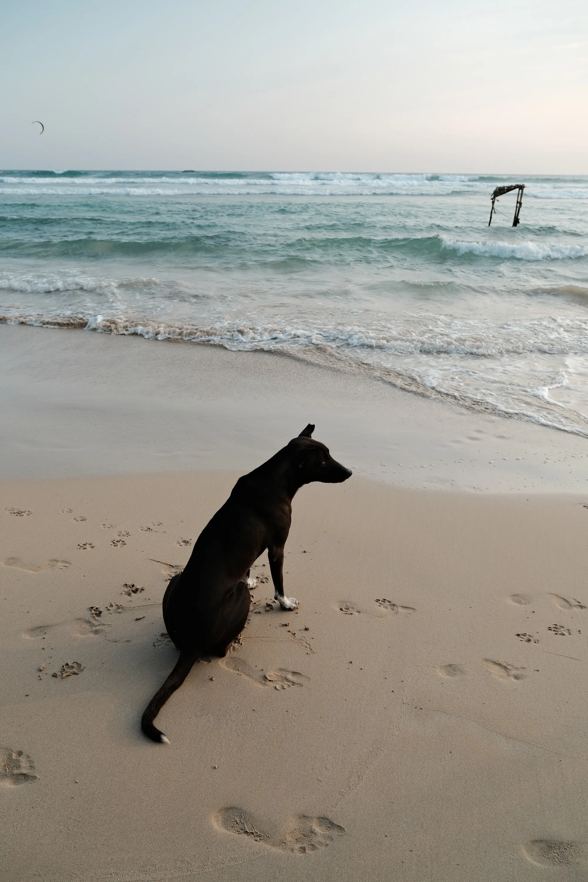 sri-lanka-2026, frame 48