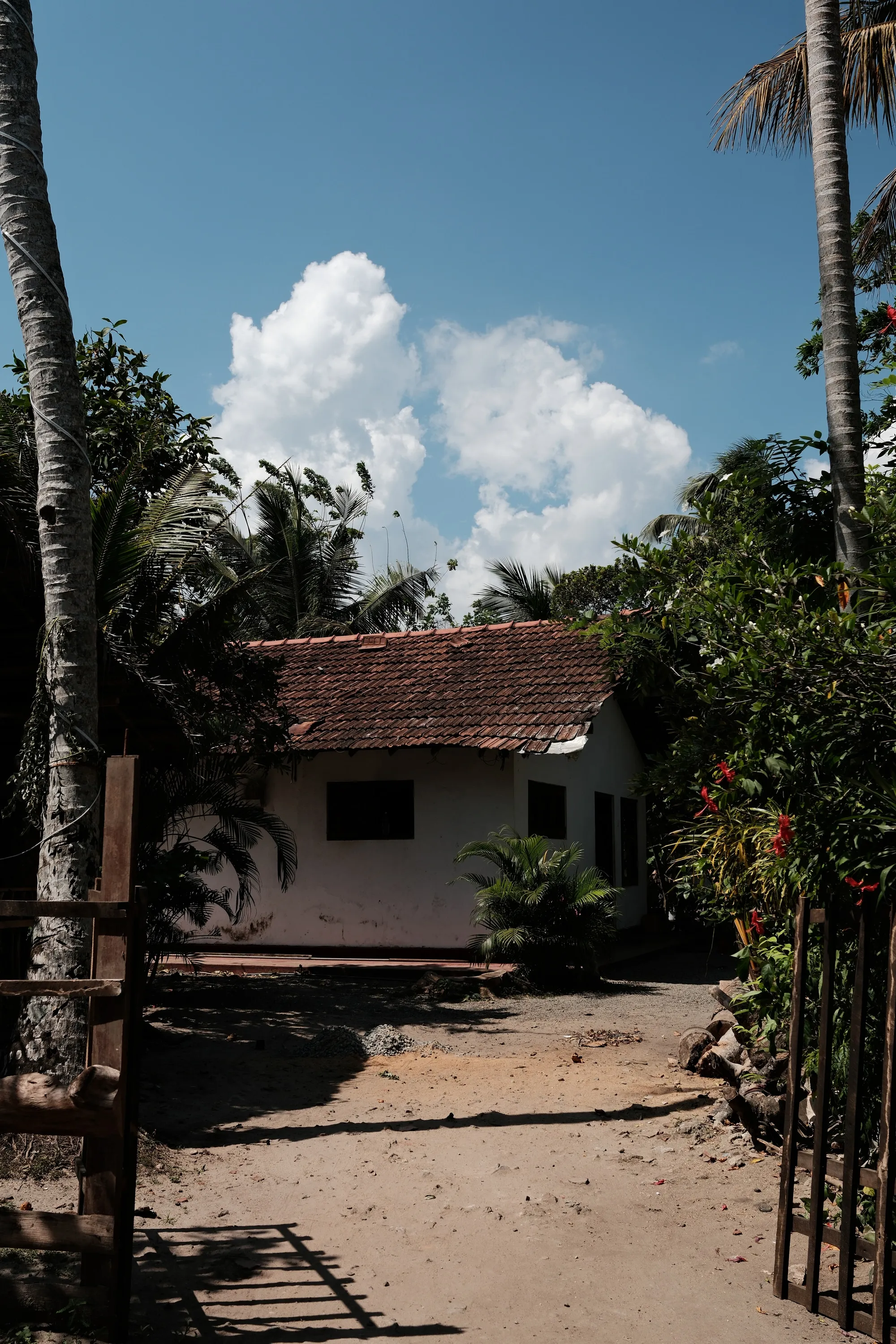 sri-lanka-2026, frame 7