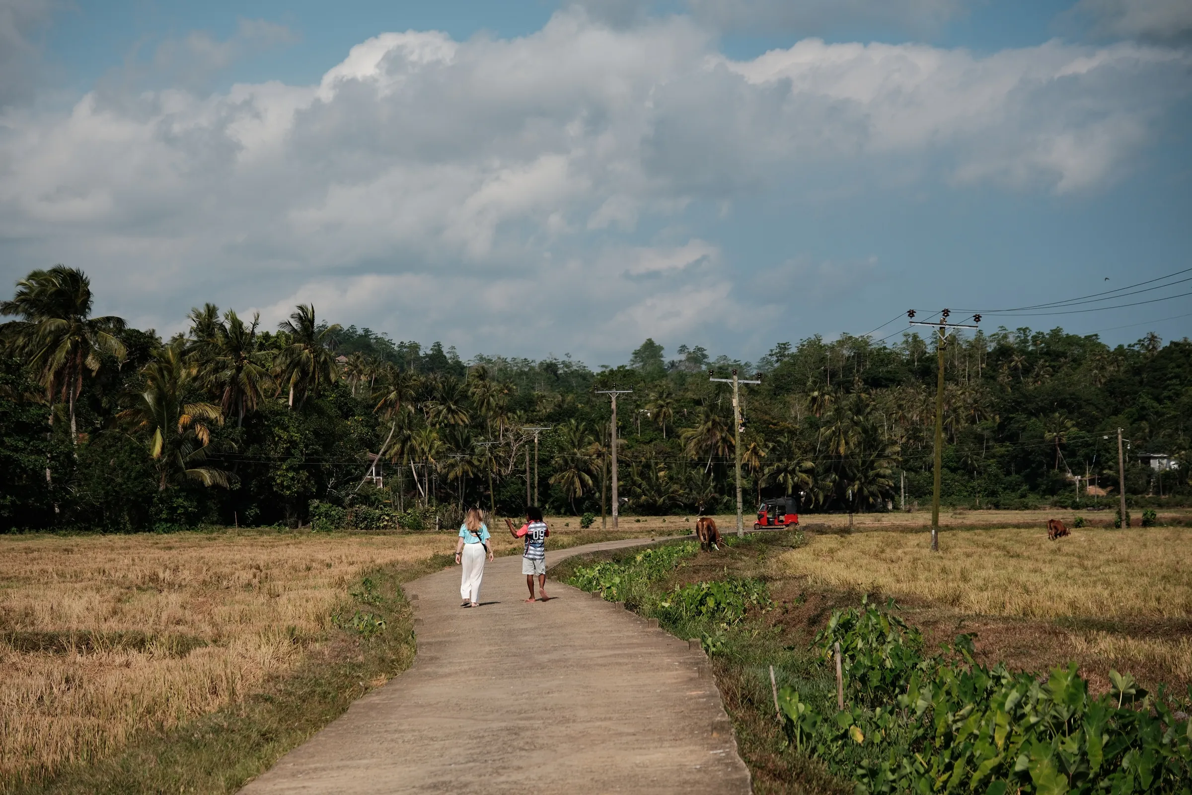 sri-lanka-2026, frame 13