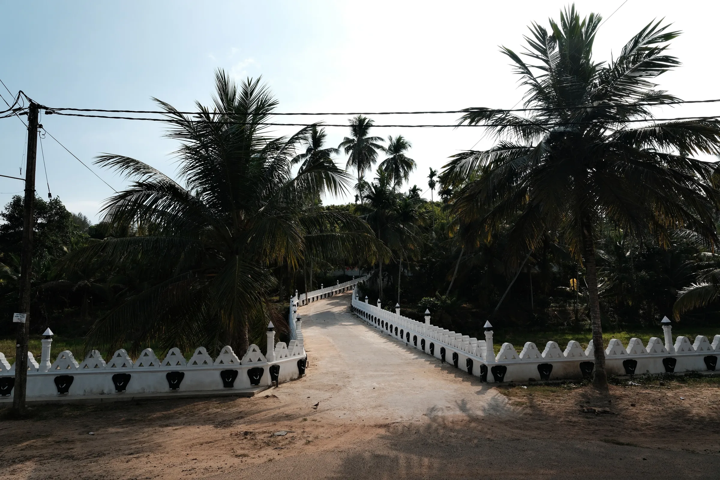 sri-lanka-2026, frame 16