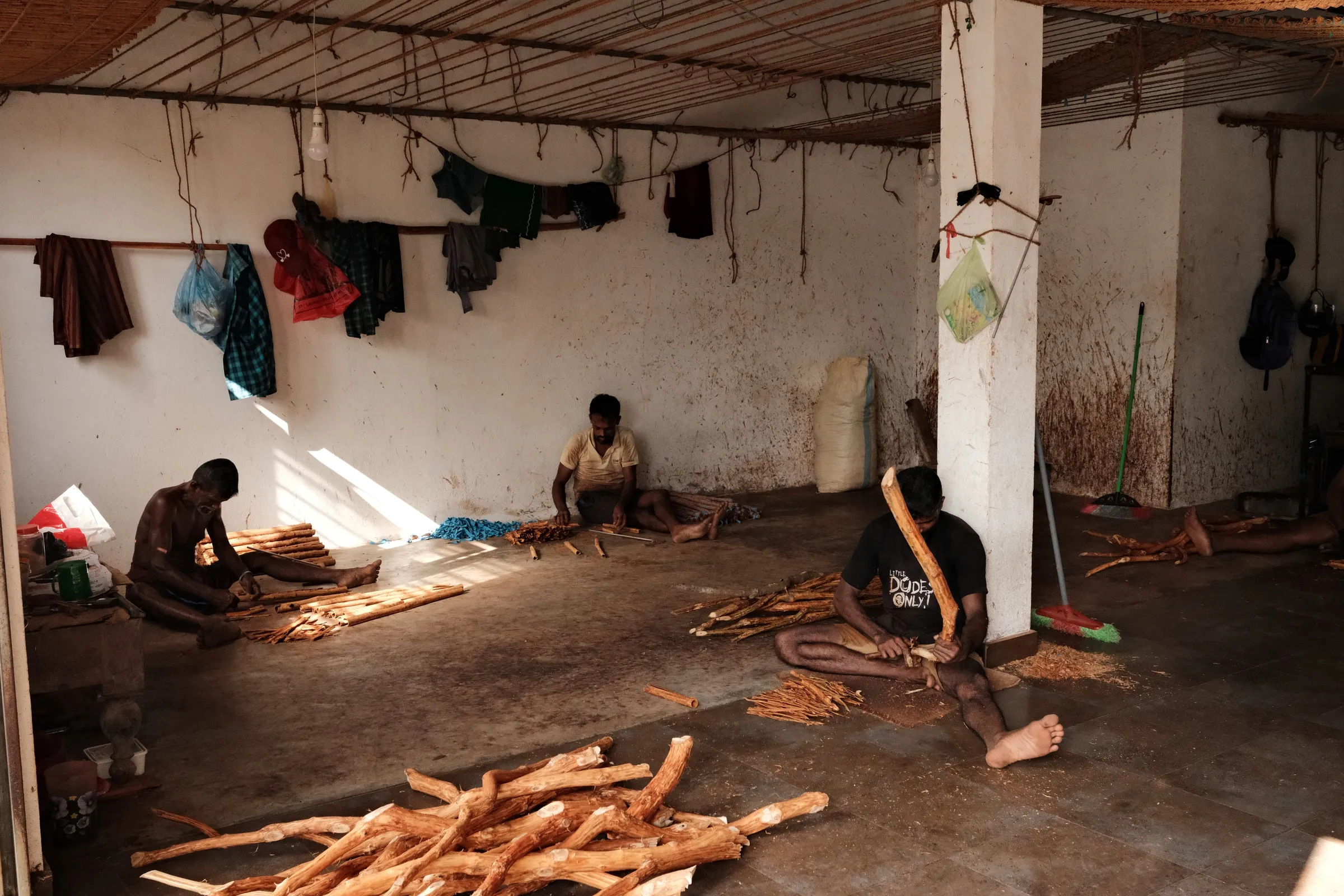 sri-lanka-2026, frame 20