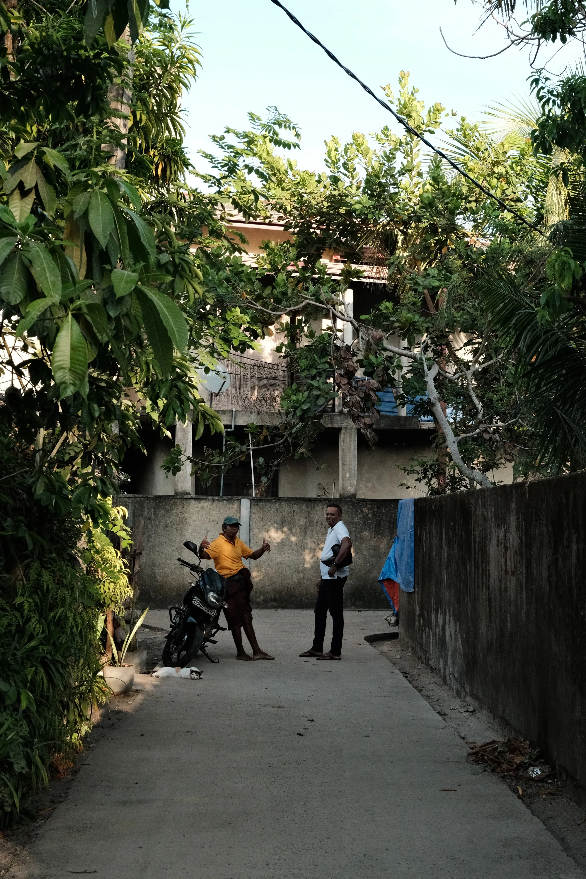 sri-lanka-2026, frame 24