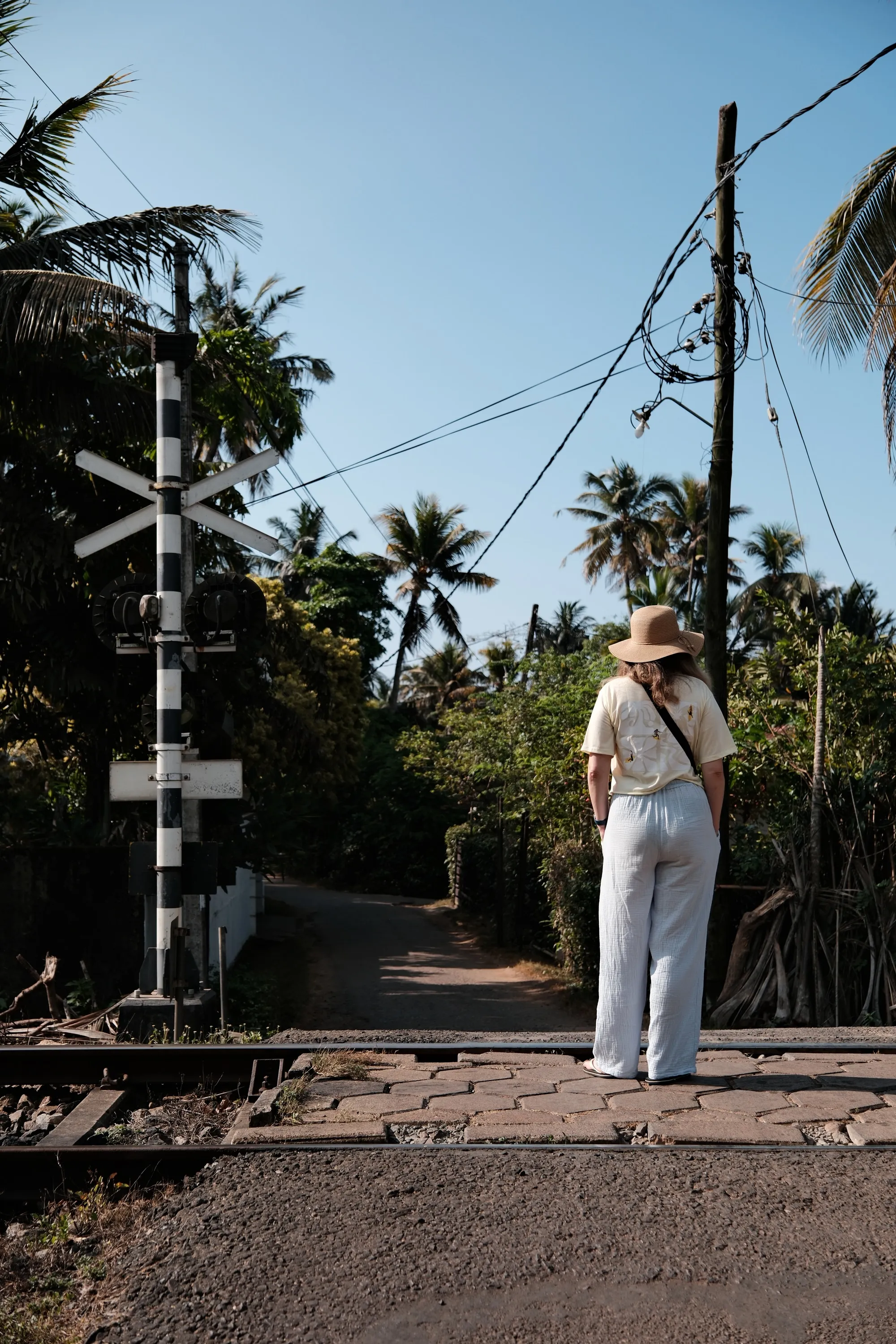 sri-lanka-2026, frame 30