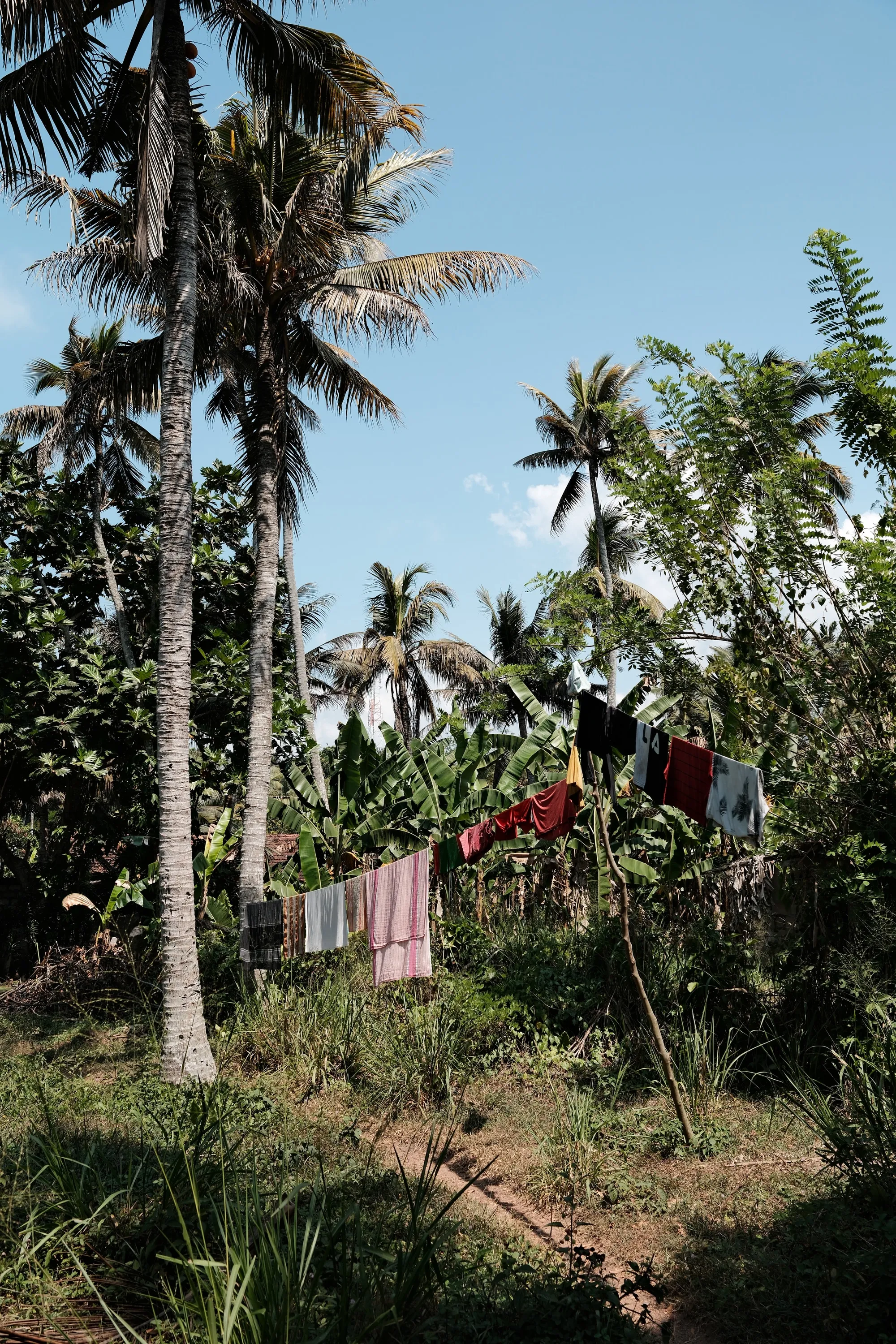 sri-lanka-2026, frame 32