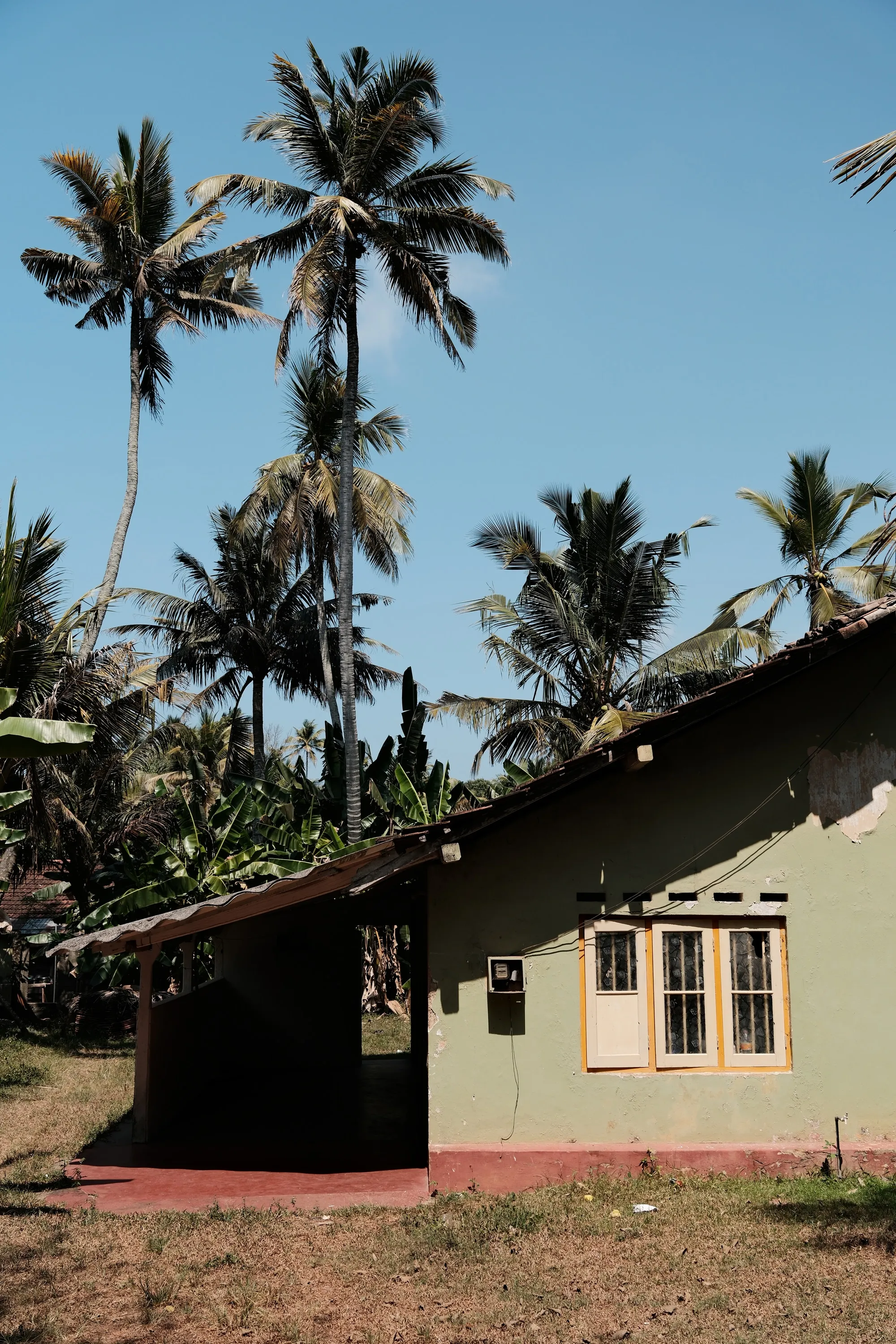 sri-lanka-2026, frame 33