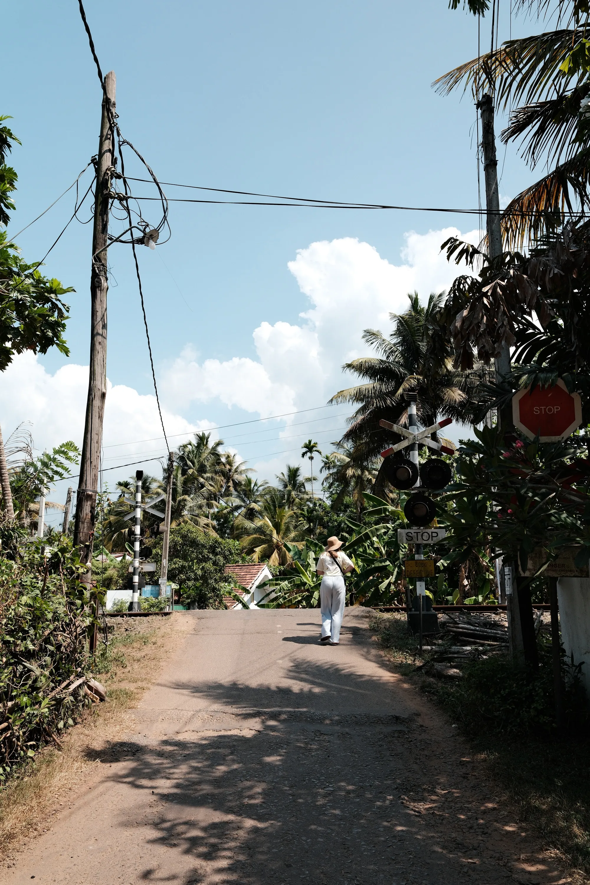 sri-lanka-2026, frame 34