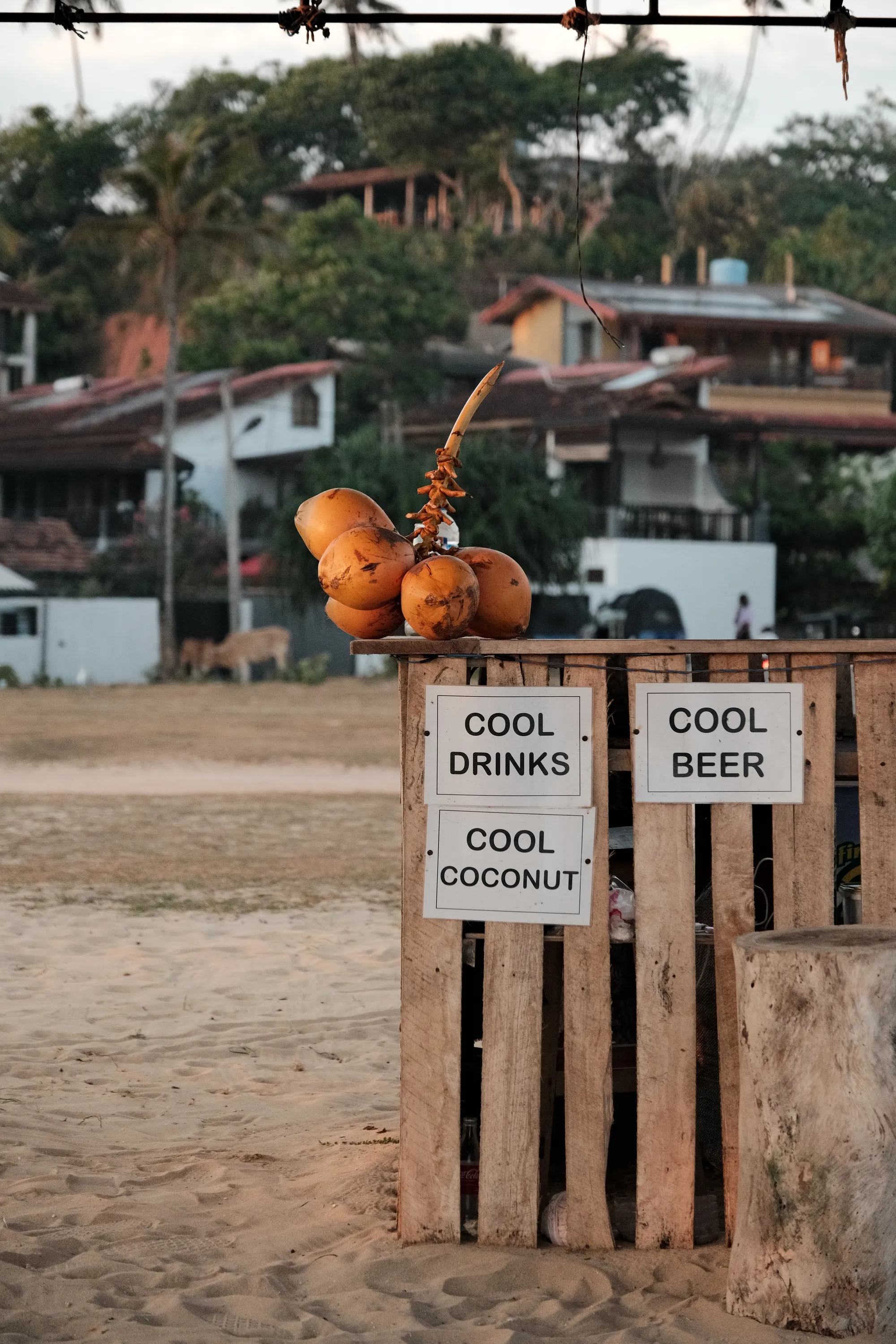 sri-lanka-2026, frame 71