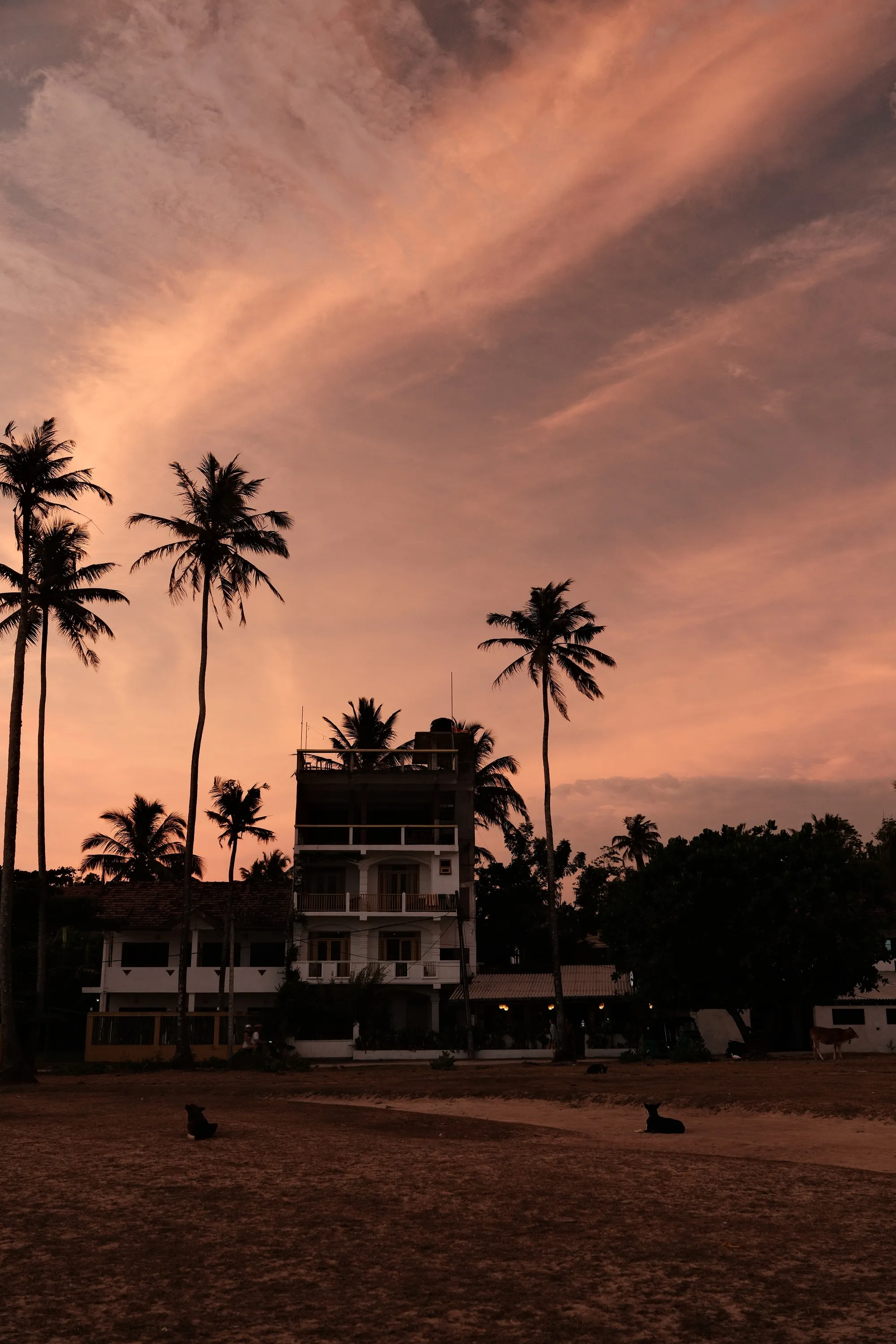 sri-lanka-2026, frame 57