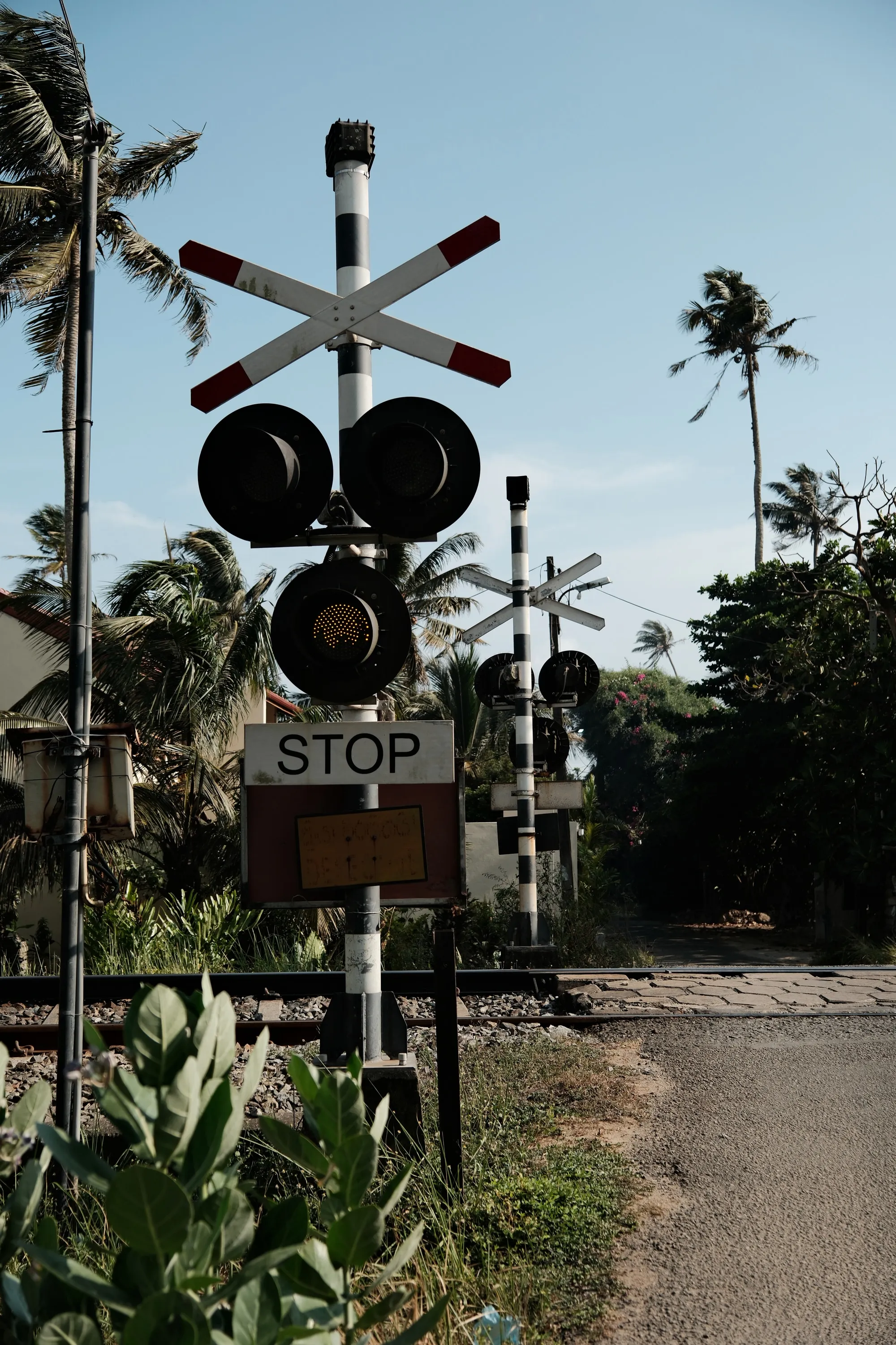 sri-lanka-2026, frame 42