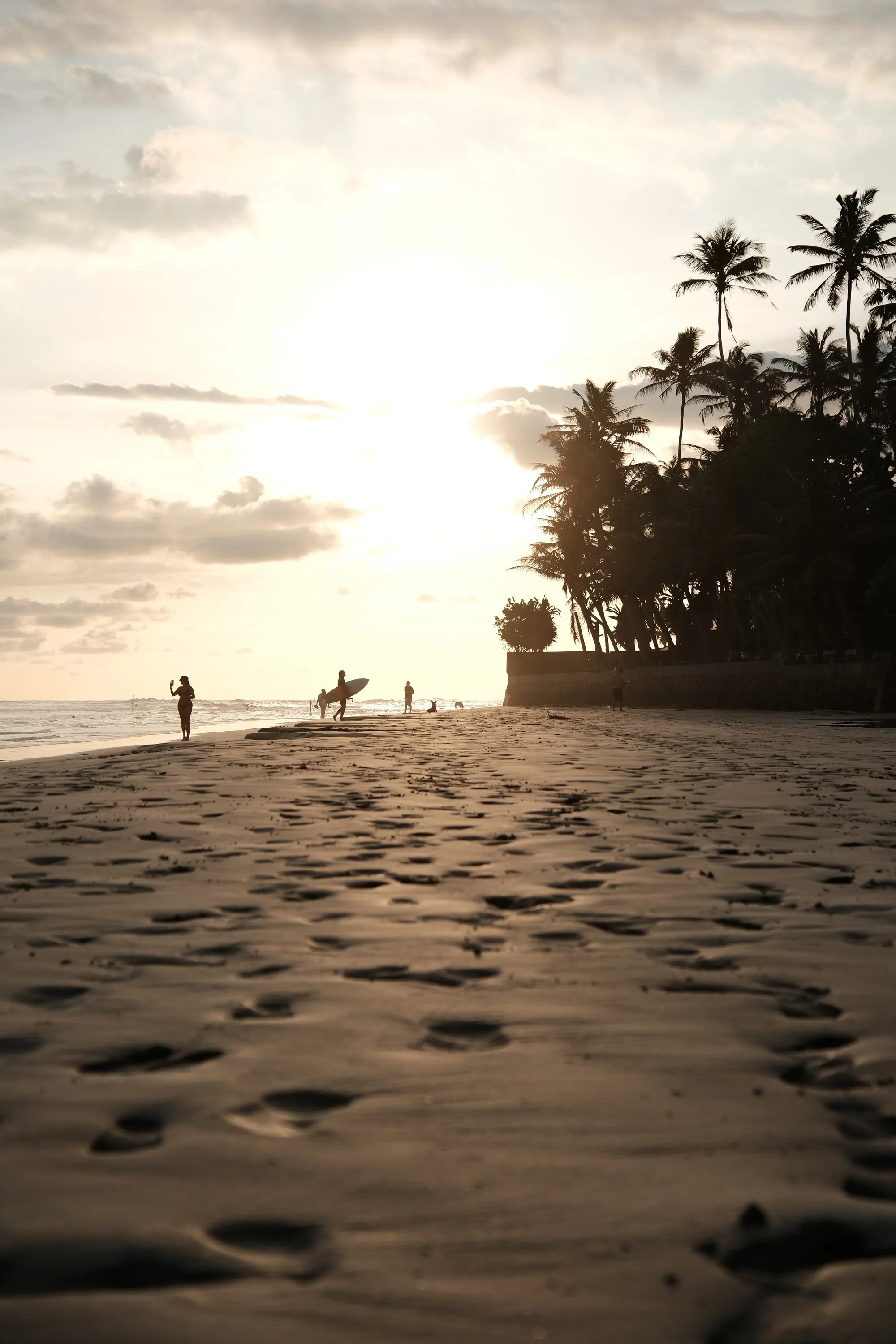 sri-lanka-2026, frame 53