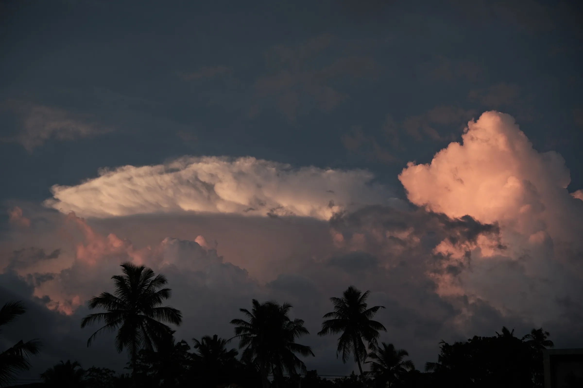 sri-lanka-2026, frame 56