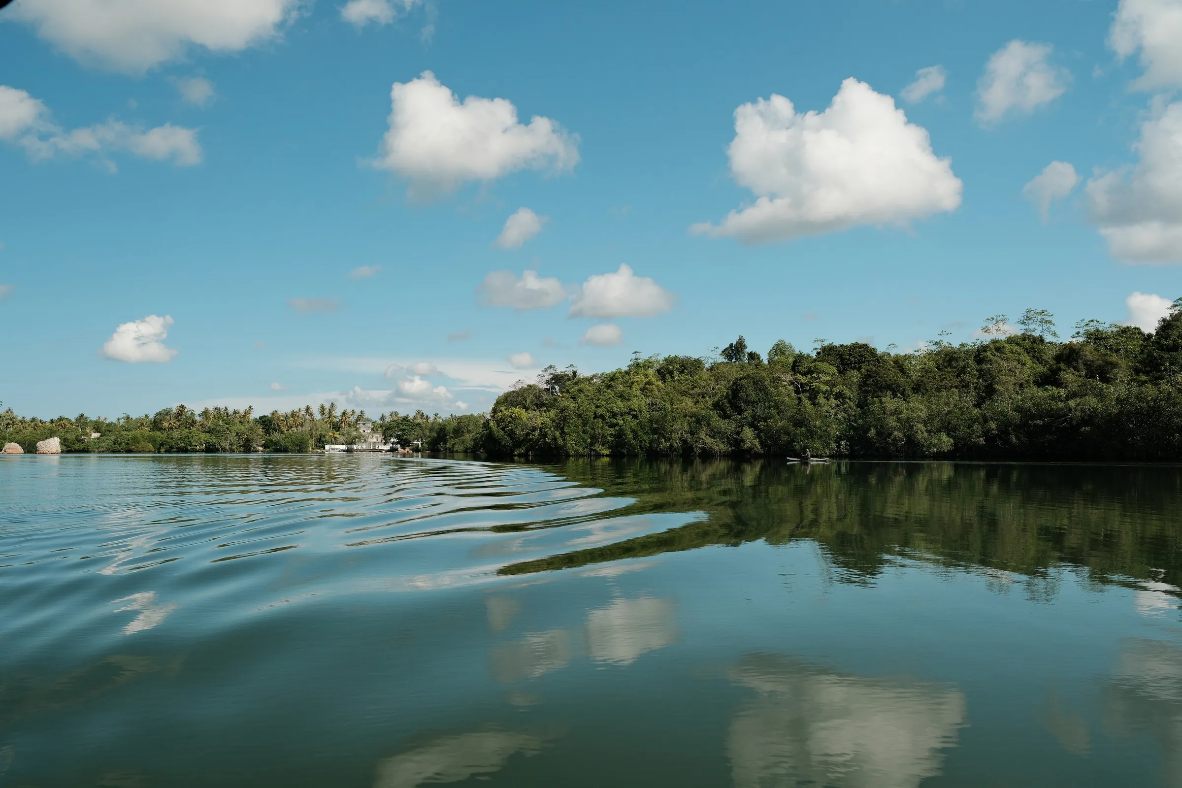 sri-lanka-2026, frame 79