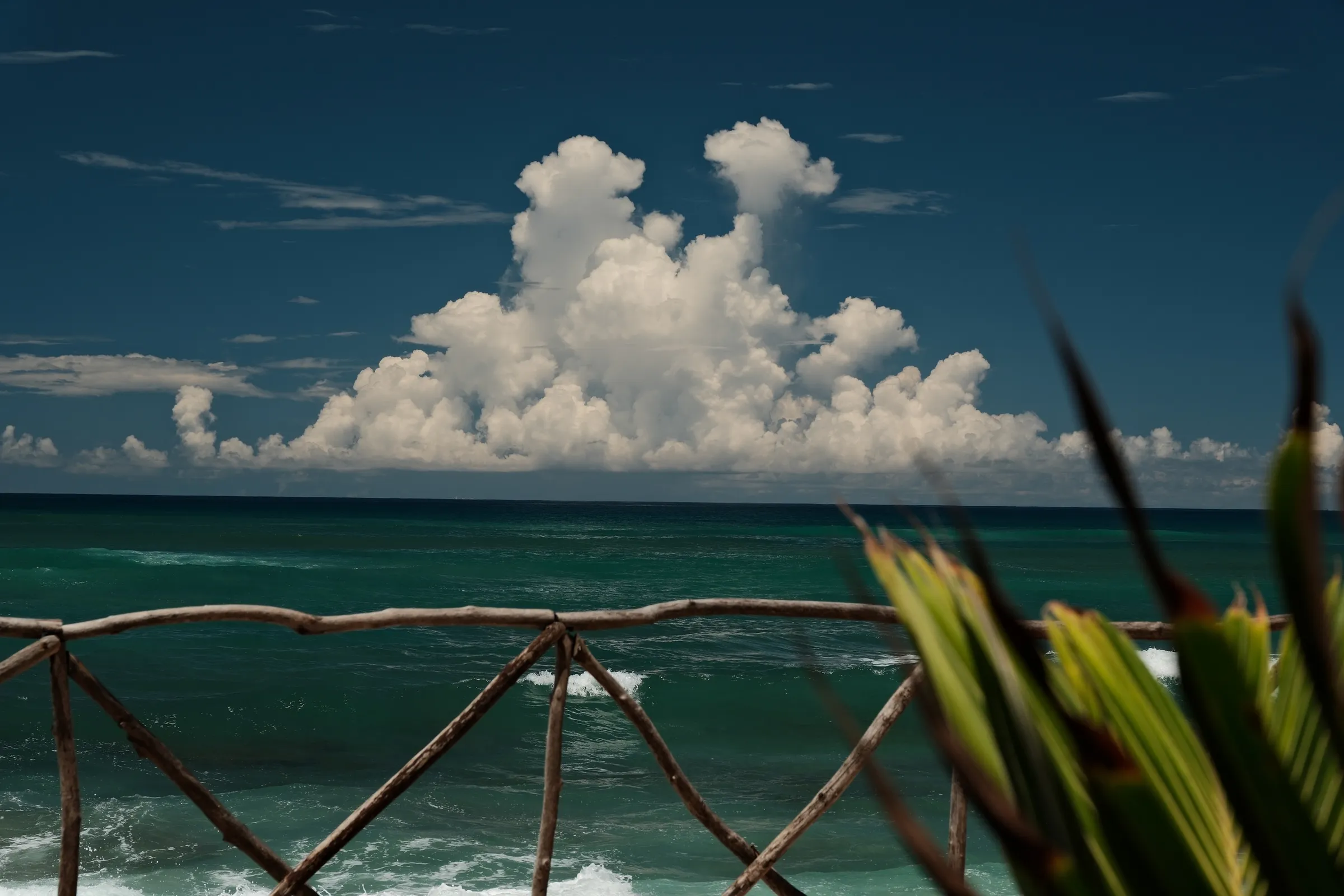 sri-lanka-2026, frame 46