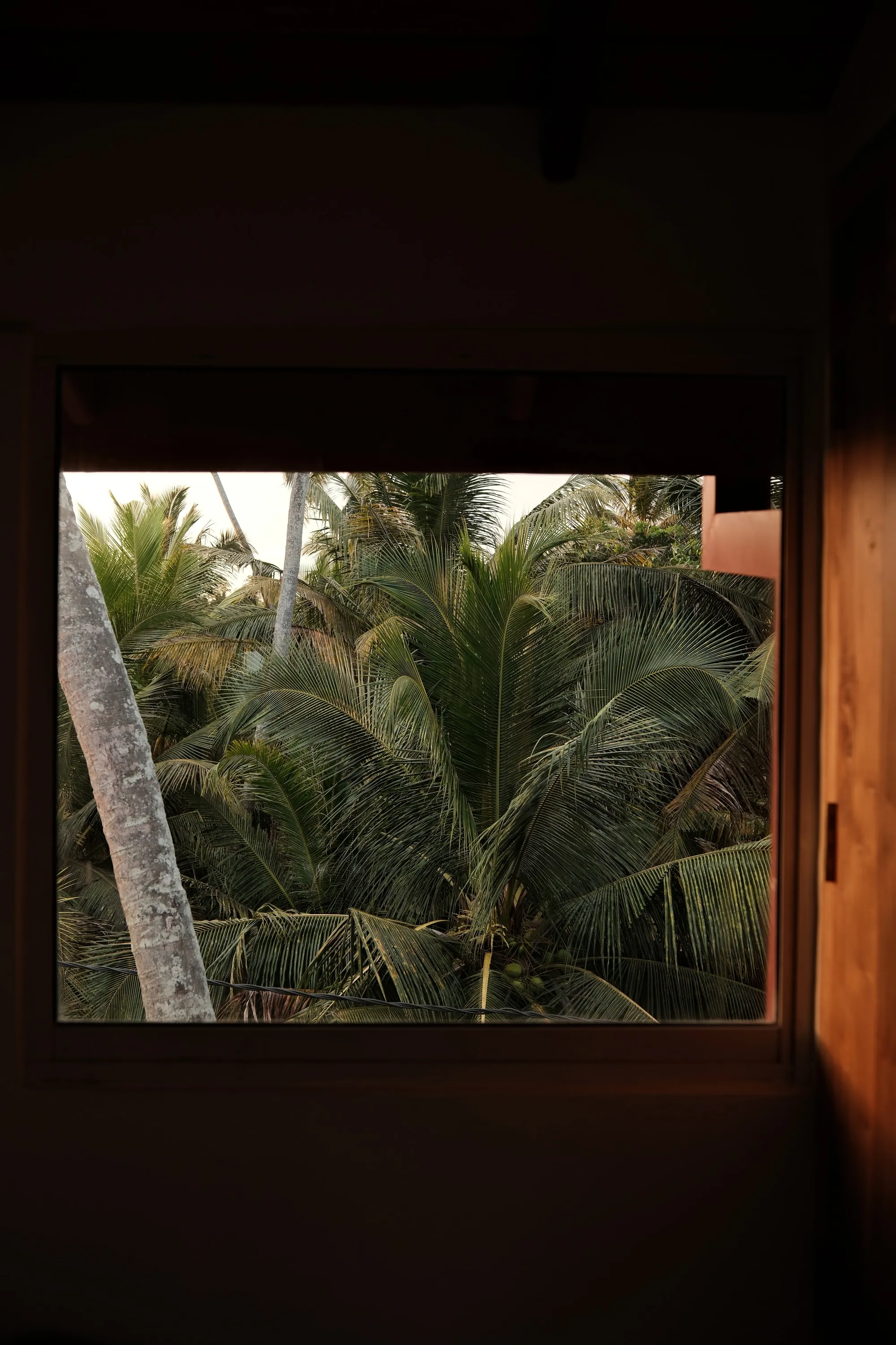 sri-lanka-2026, frame 89