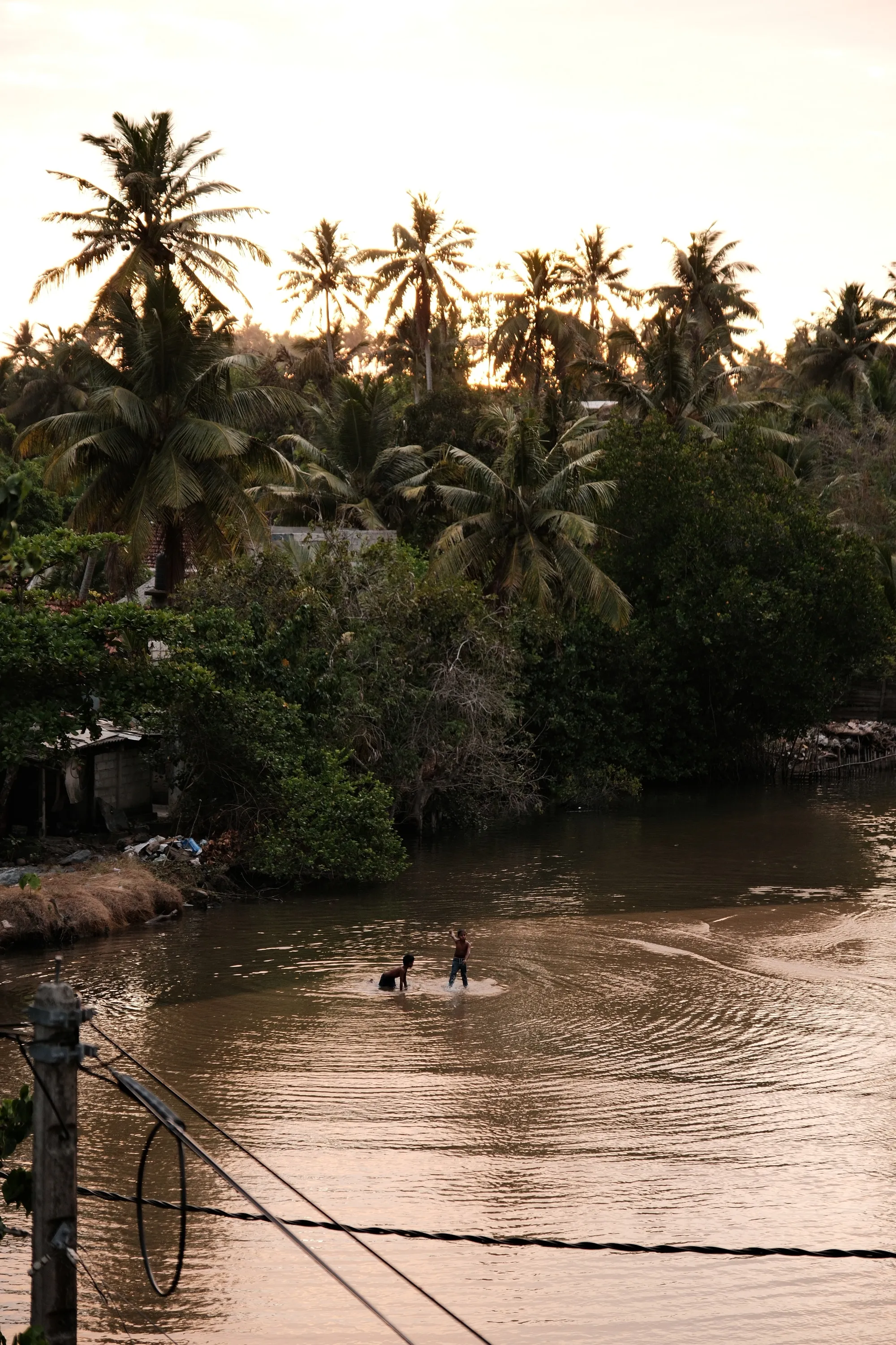 sri-lanka-2026, frame 90
