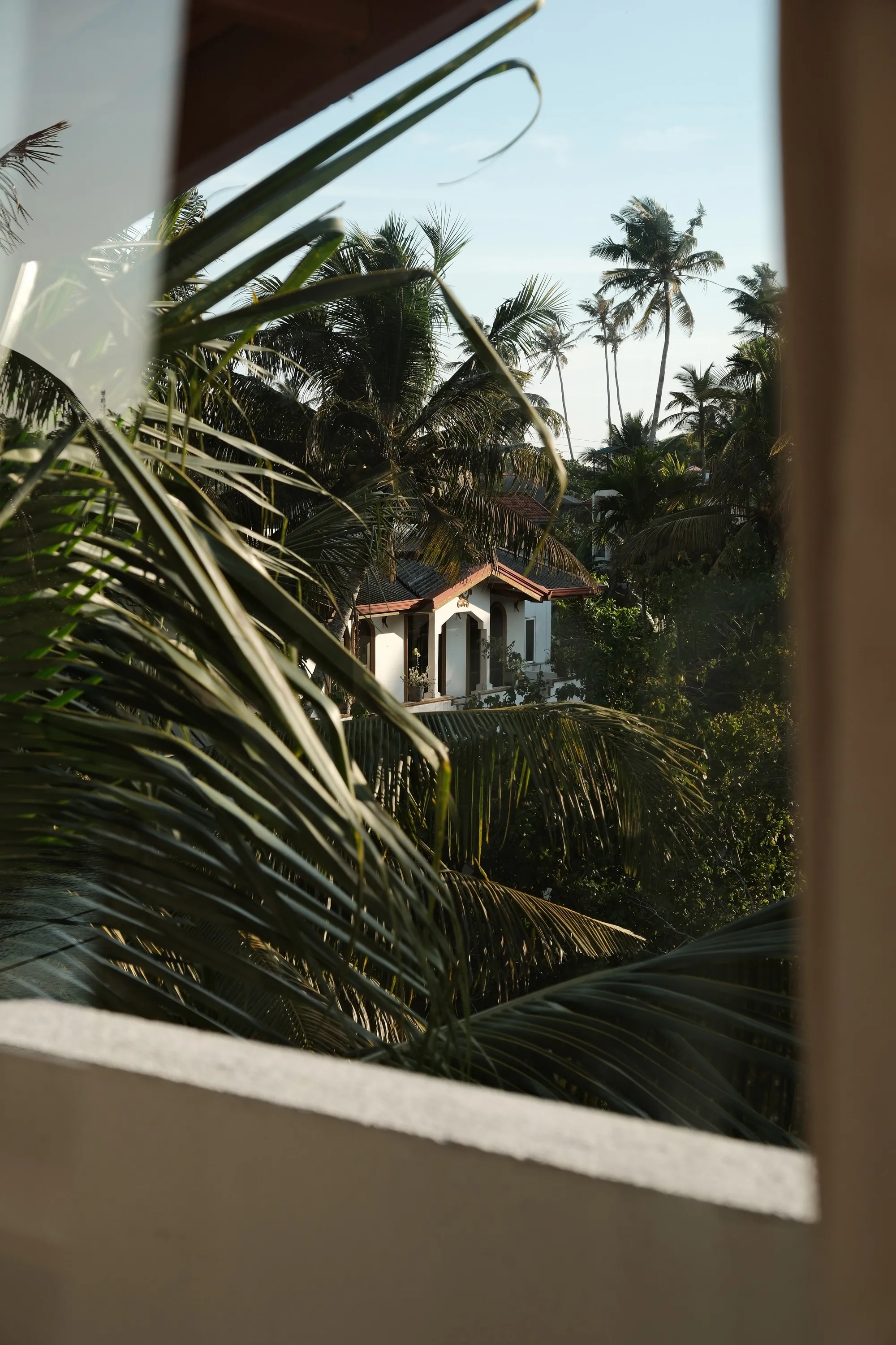 sri-lanka-2026, frame 96