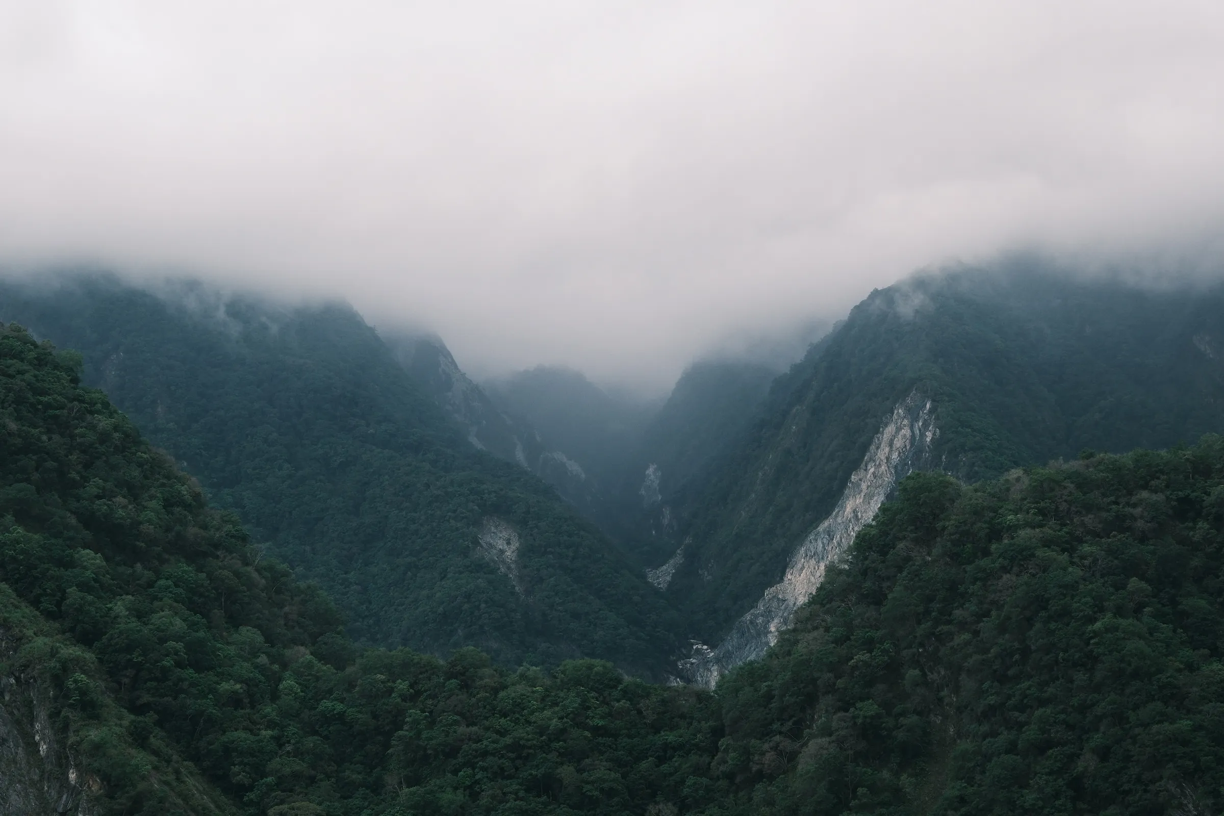 taiwan-2026, frame 29