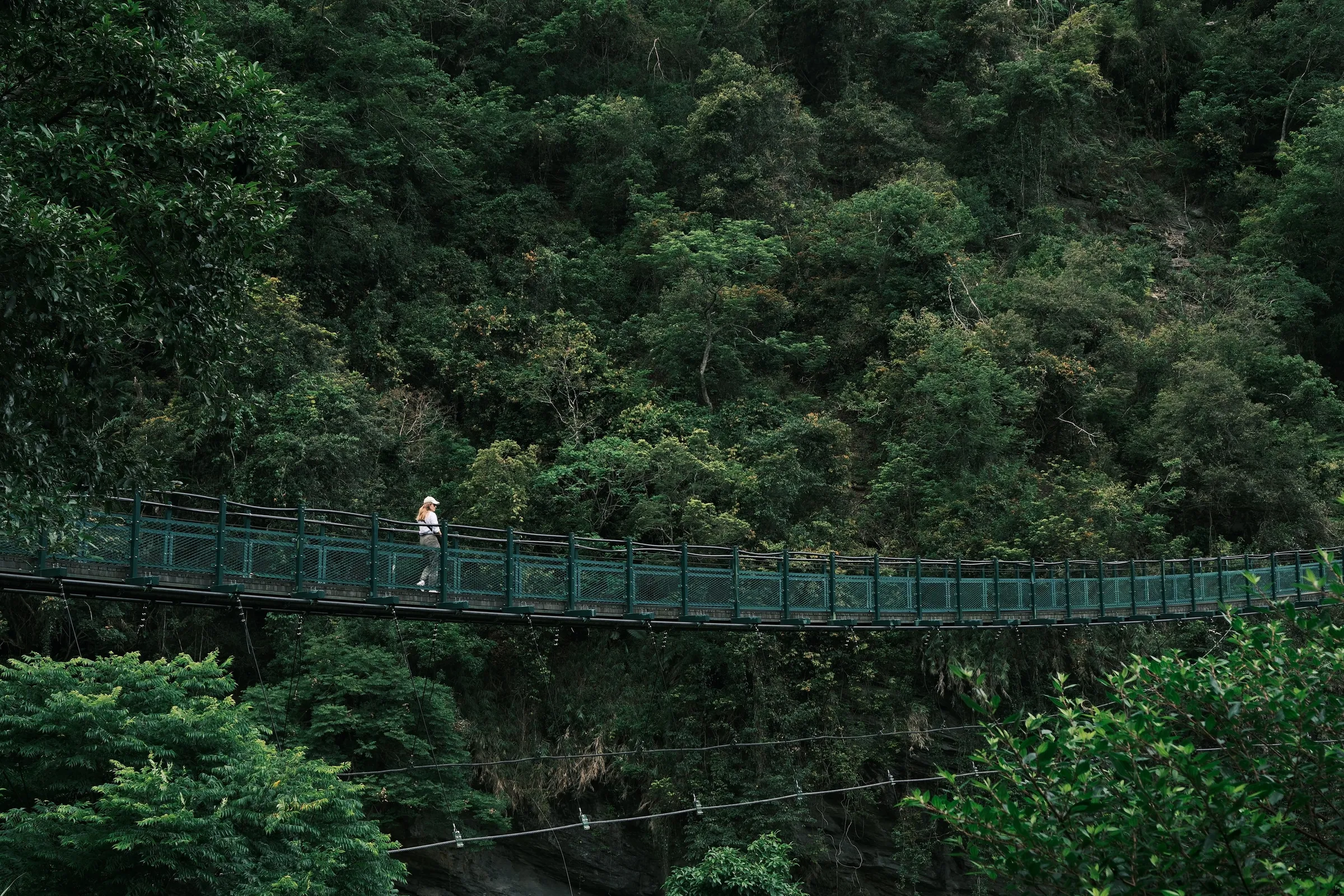 taiwan-2026, frame 48
