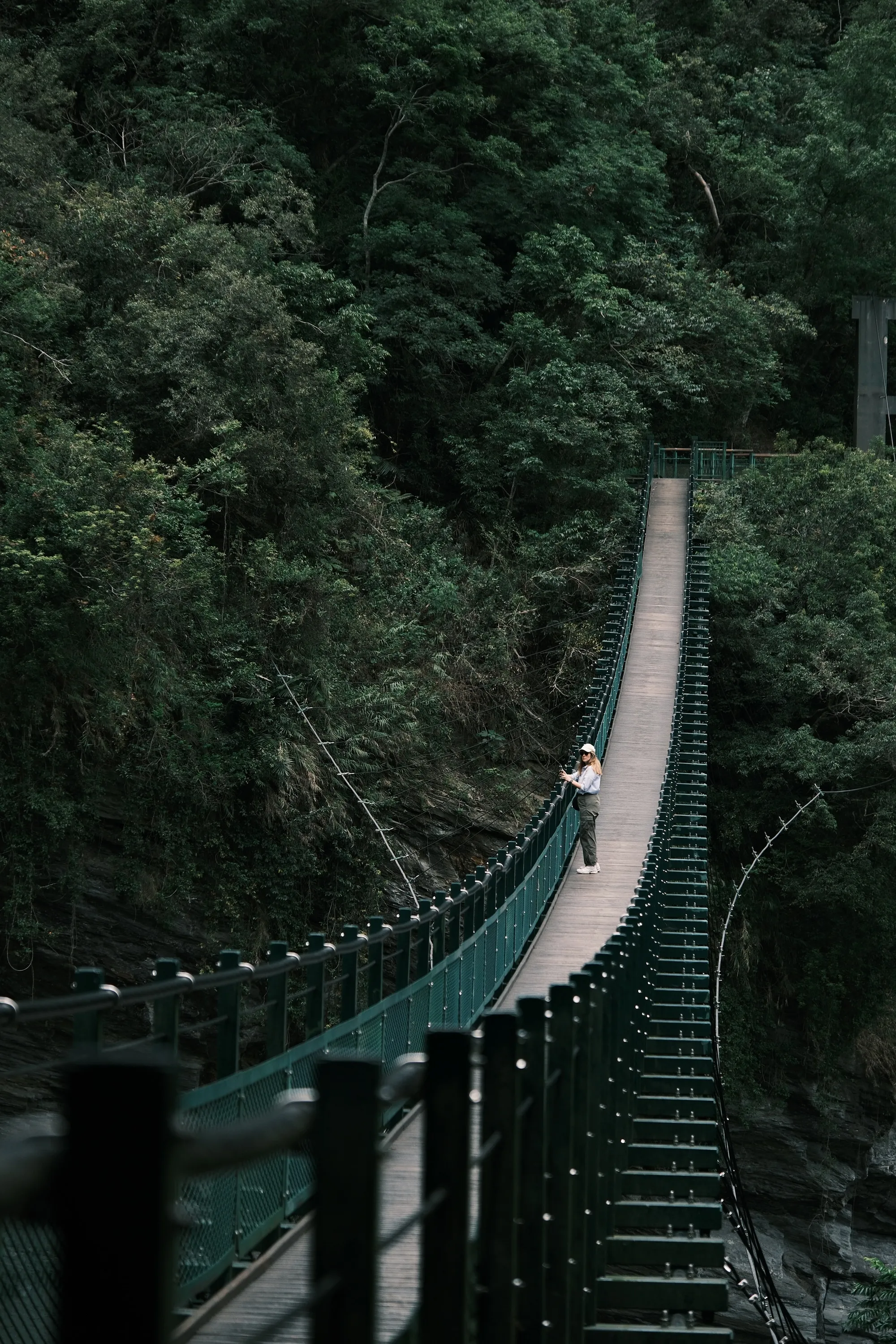 taiwan-2026, frame 49