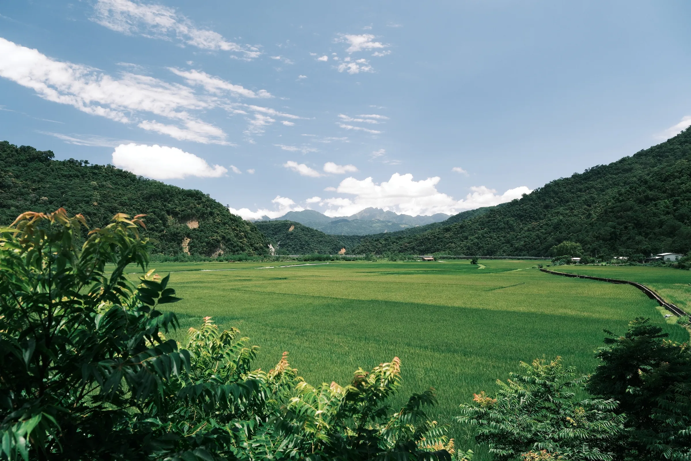 taiwan-2026, frame 53