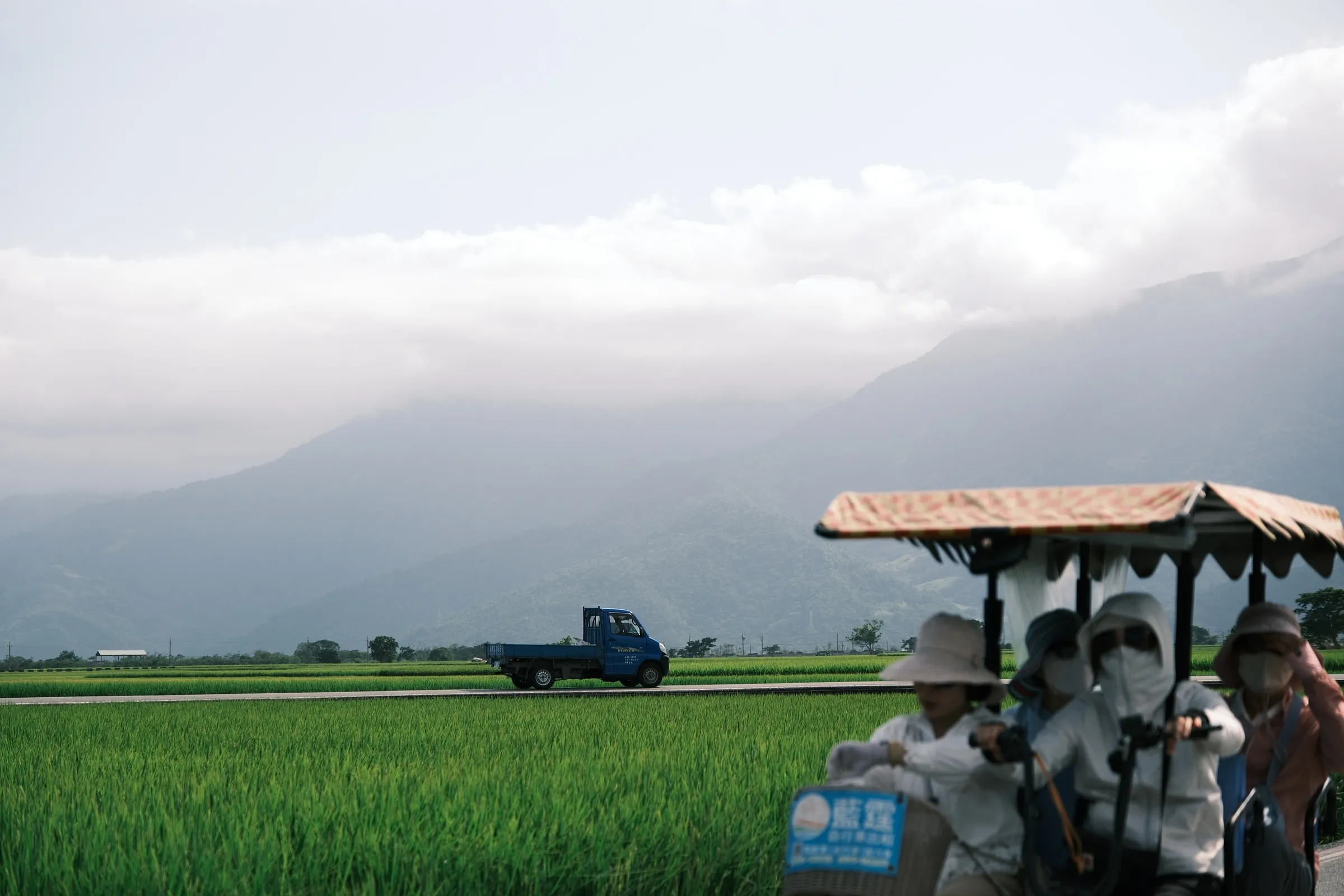 Rice valley, East Rift
