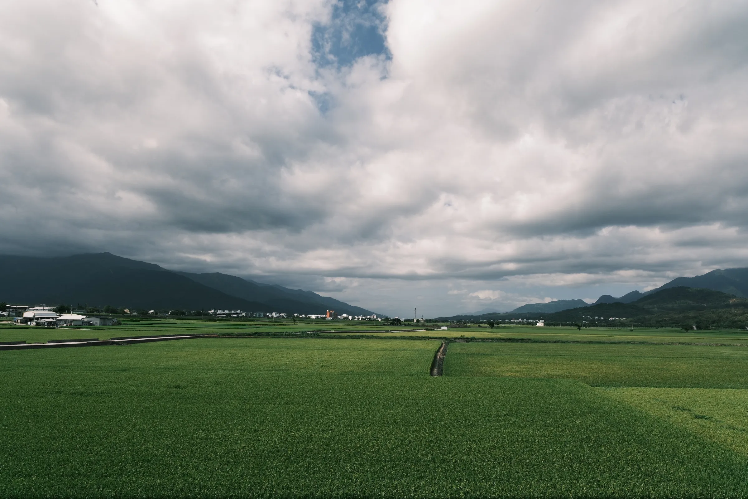 taiwan-2026, frame 61